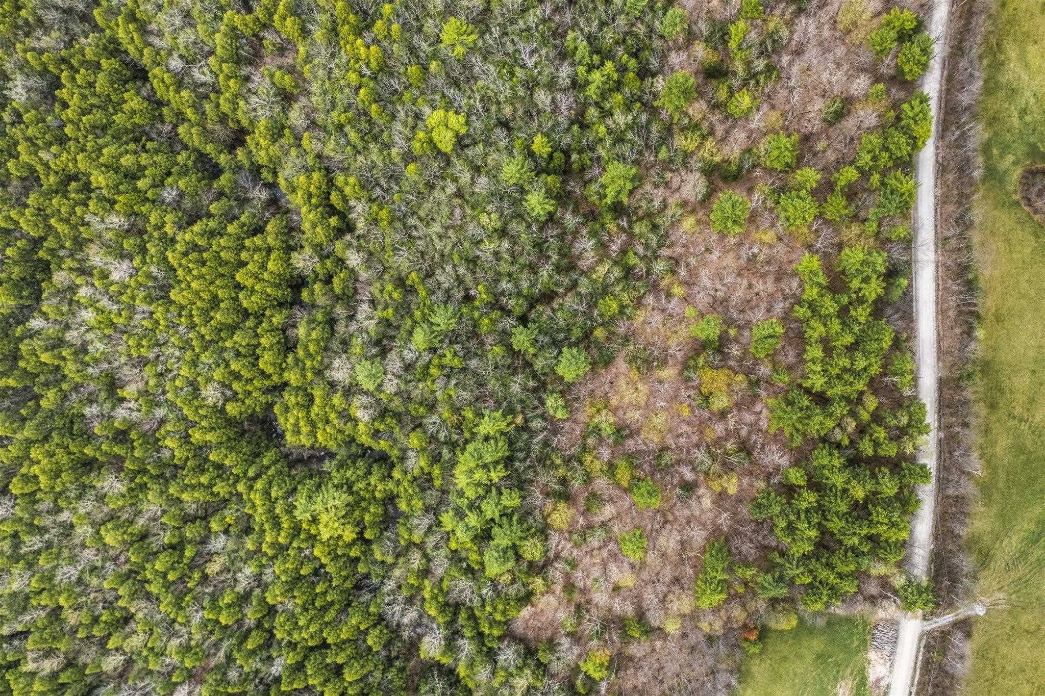 0 Birdseye Road Castleton, VT 05735 - Photo 2 of 19