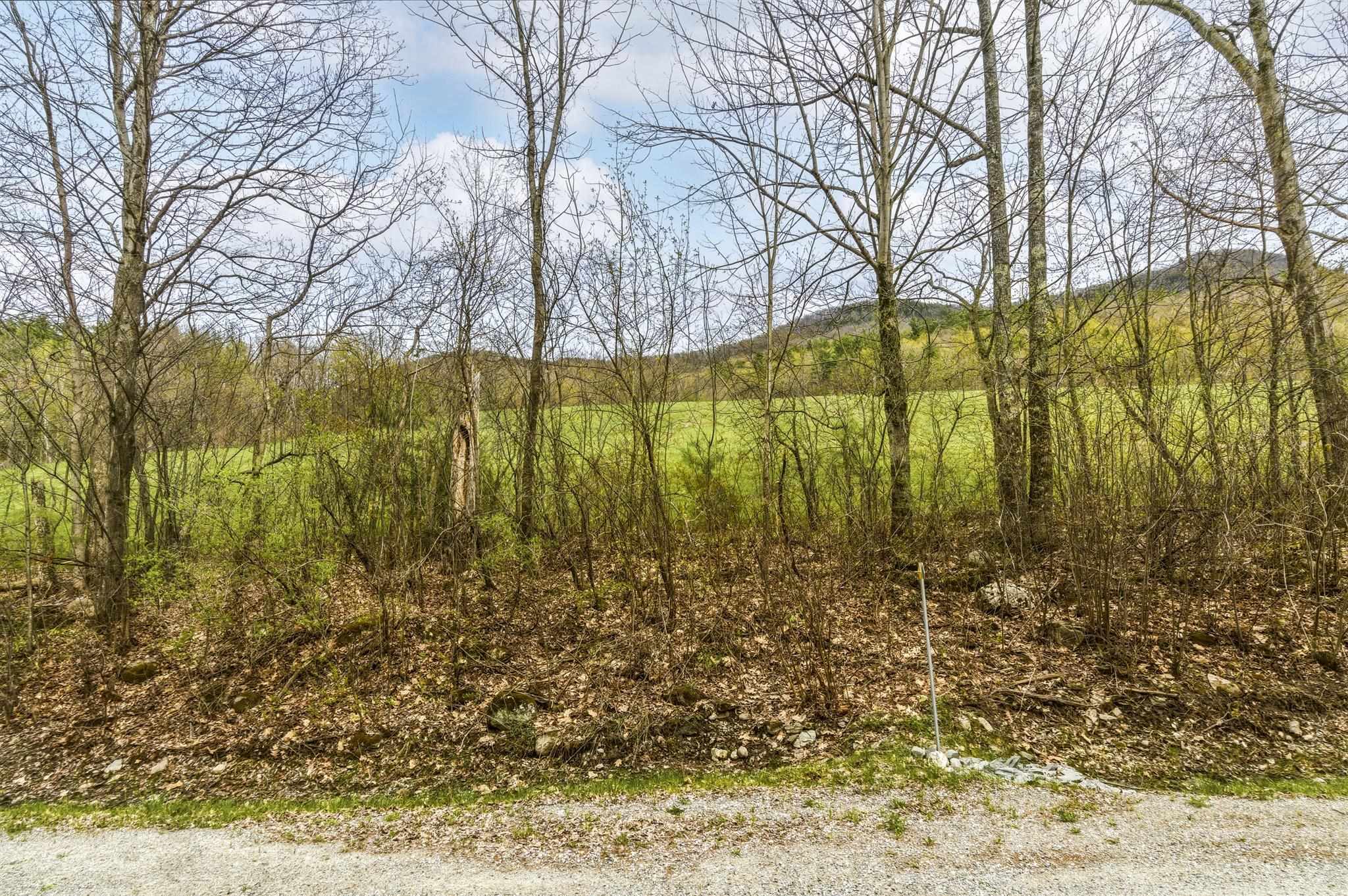 0 Birdseye Road Castleton, VT 05735 - Photo 5 of 19