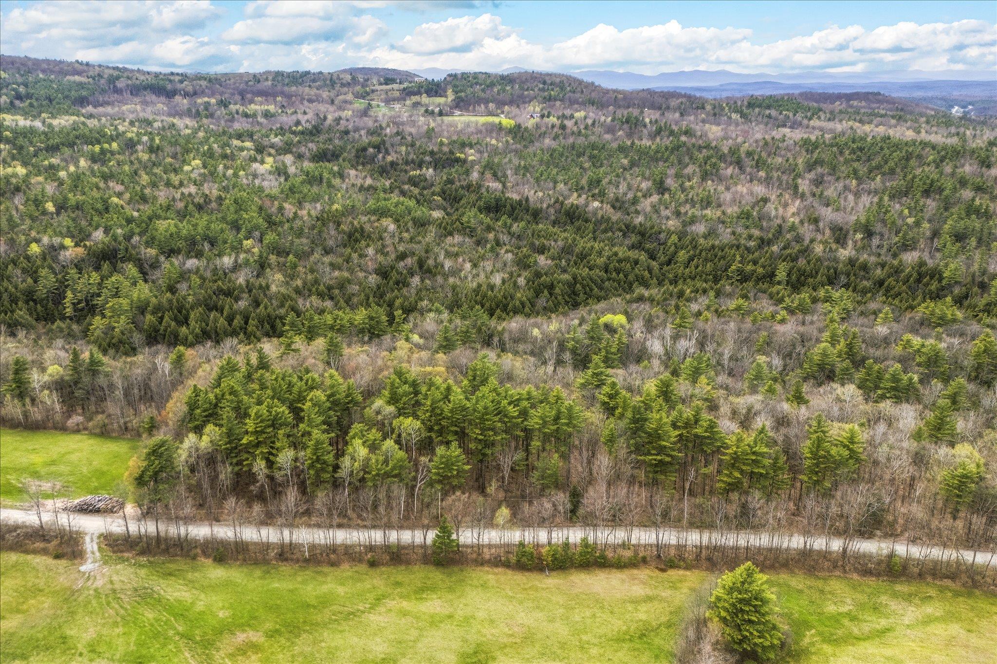 0 Birdseye Road Castleton, VT 05735 - Photo 6 of 19