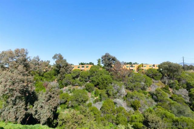 a room with a bed and a potted plant