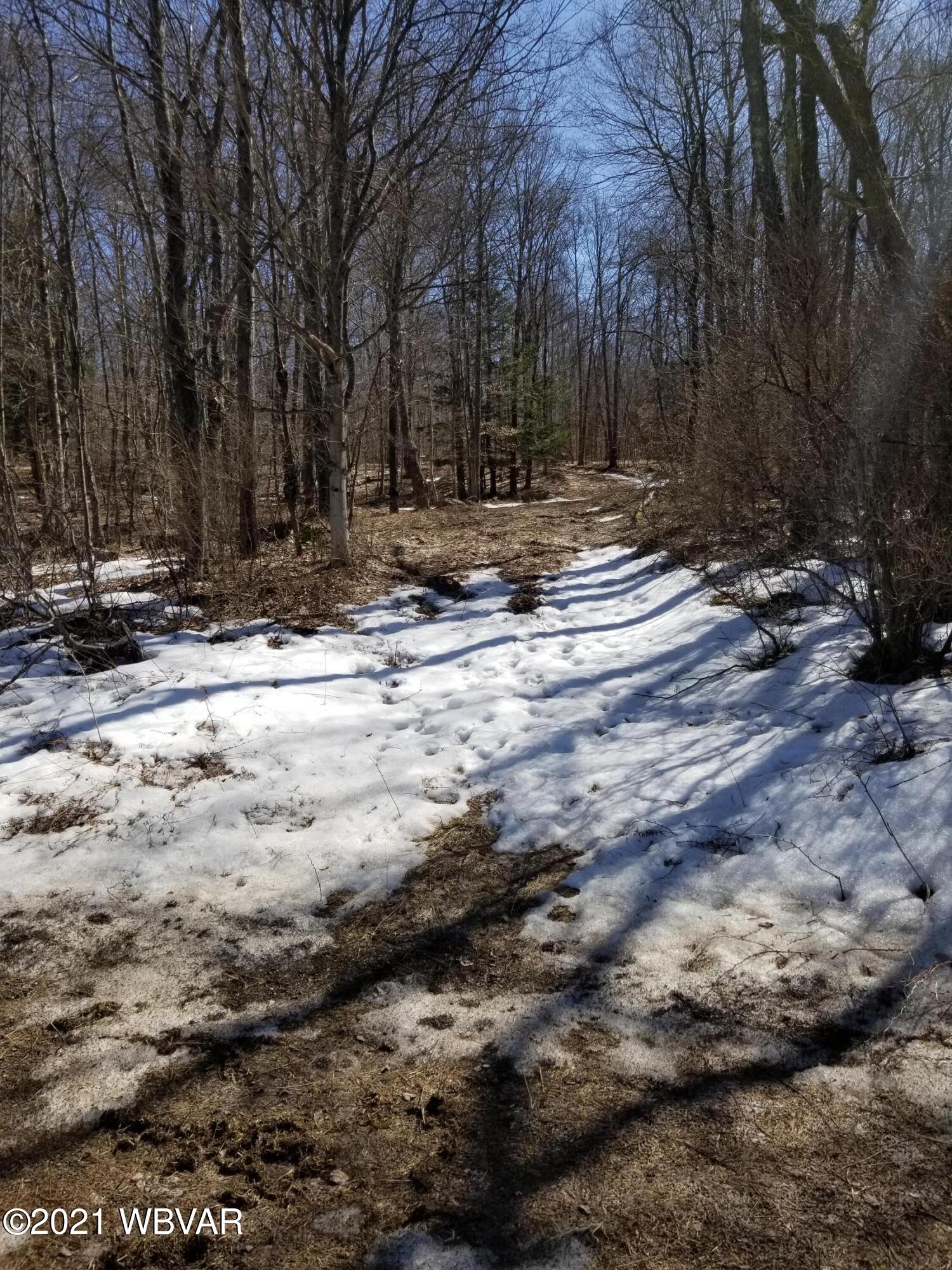 Old Bernice Road, Unit 8 Mildred, PA 18632 - Photo 8 of 10 Gallery Image 8