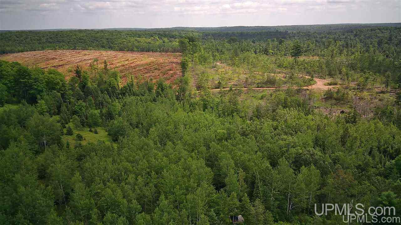Tbd Sand Road, Unit 2 Powers, MI 49874 - Photo 10 of 38