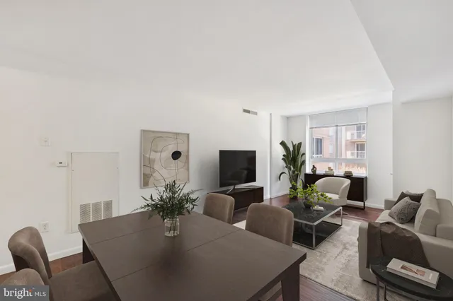 a living room with furniture potted plant and a window