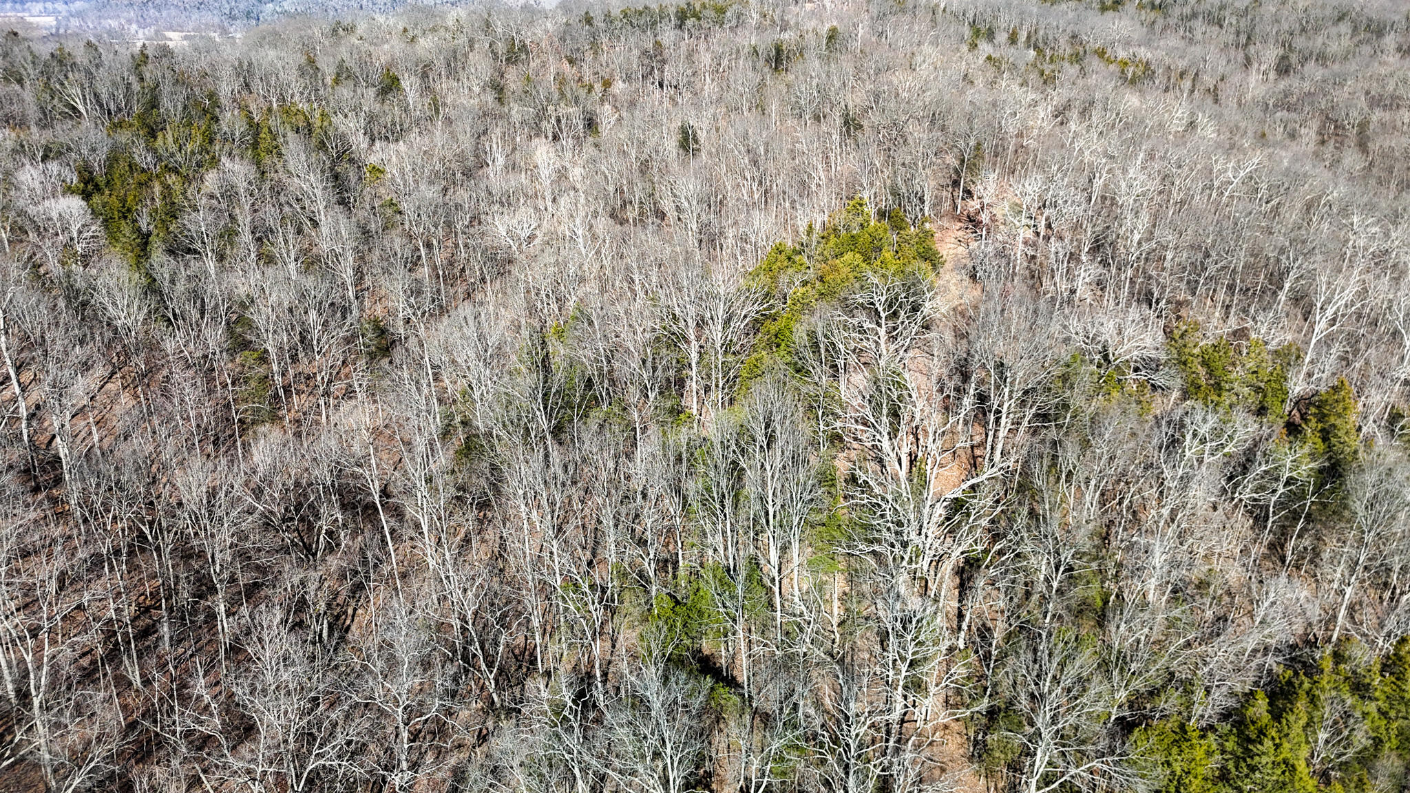 248 Sulphur Lick Road Frankfort, KY 40601 - Photo 10 of 50