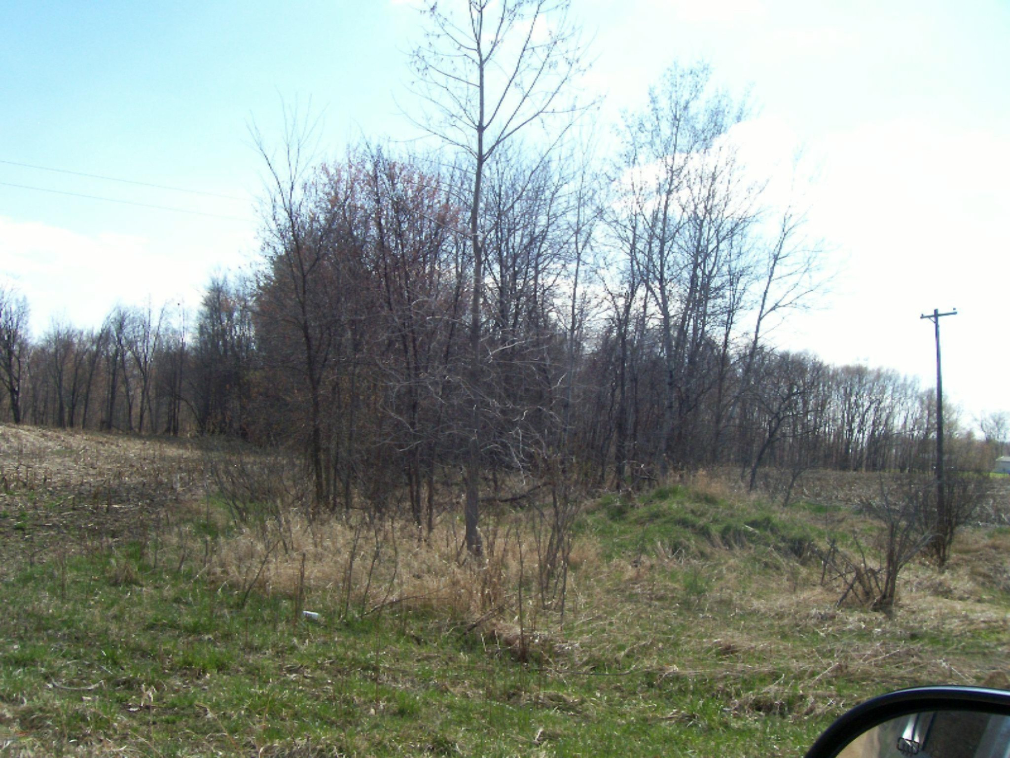 1 South Derby Road East Sidney, MI 48885 - Photo 3 of 3 gingers pictures 028