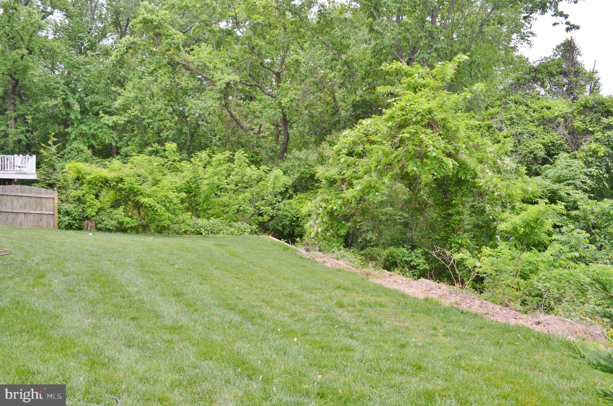 1458 Grandview Road Arnold, MD 21012 - Photo 17 of 33 Flat Backyard