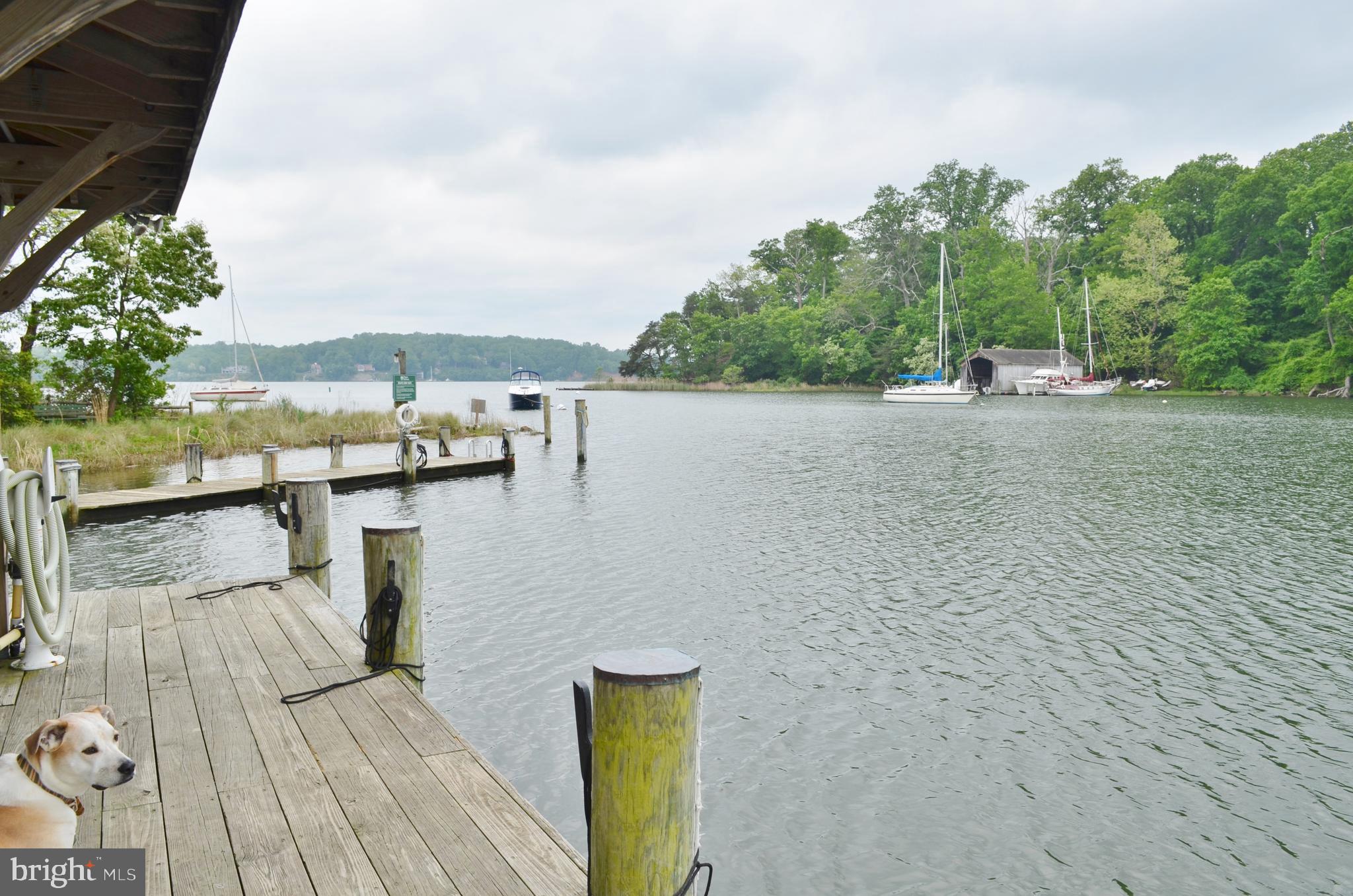 1458 Grandview Road Arnold, MD 21012 - Photo 23 of 33 Views from Community Pier