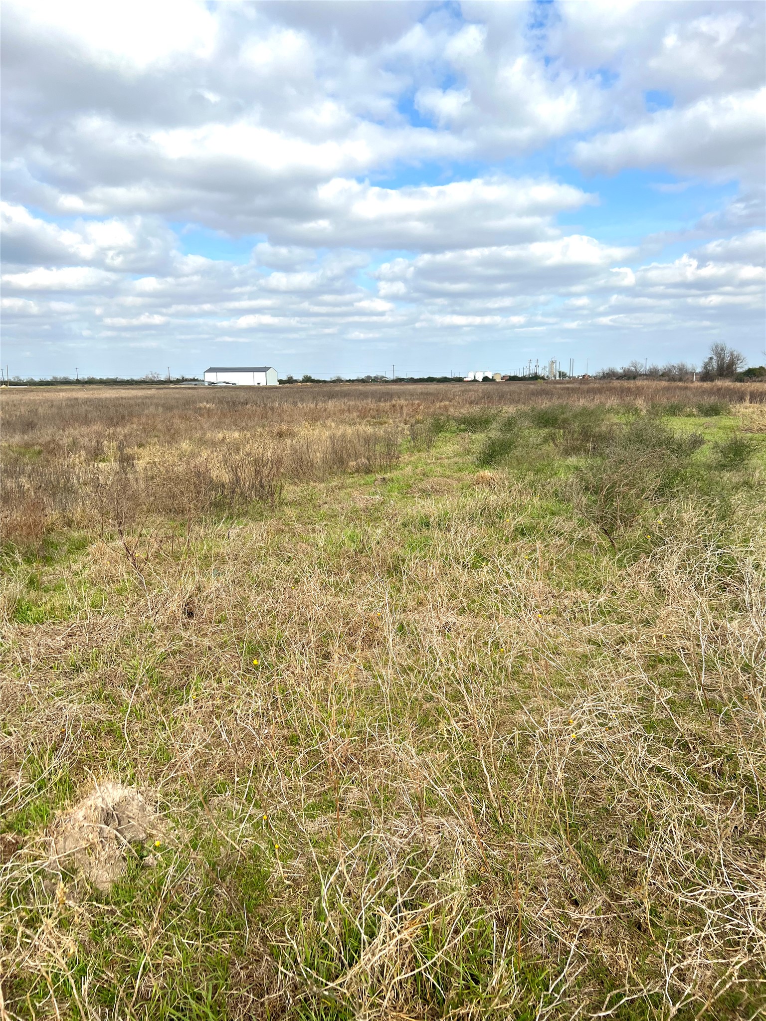 Tbd Lot 2 Tbd Road Eagle Lake, TX 77434 - Photo 11 of 24 Expansive open land with a mix of natural grasses and a distant white industrial building under a broad sky with scattered clouds