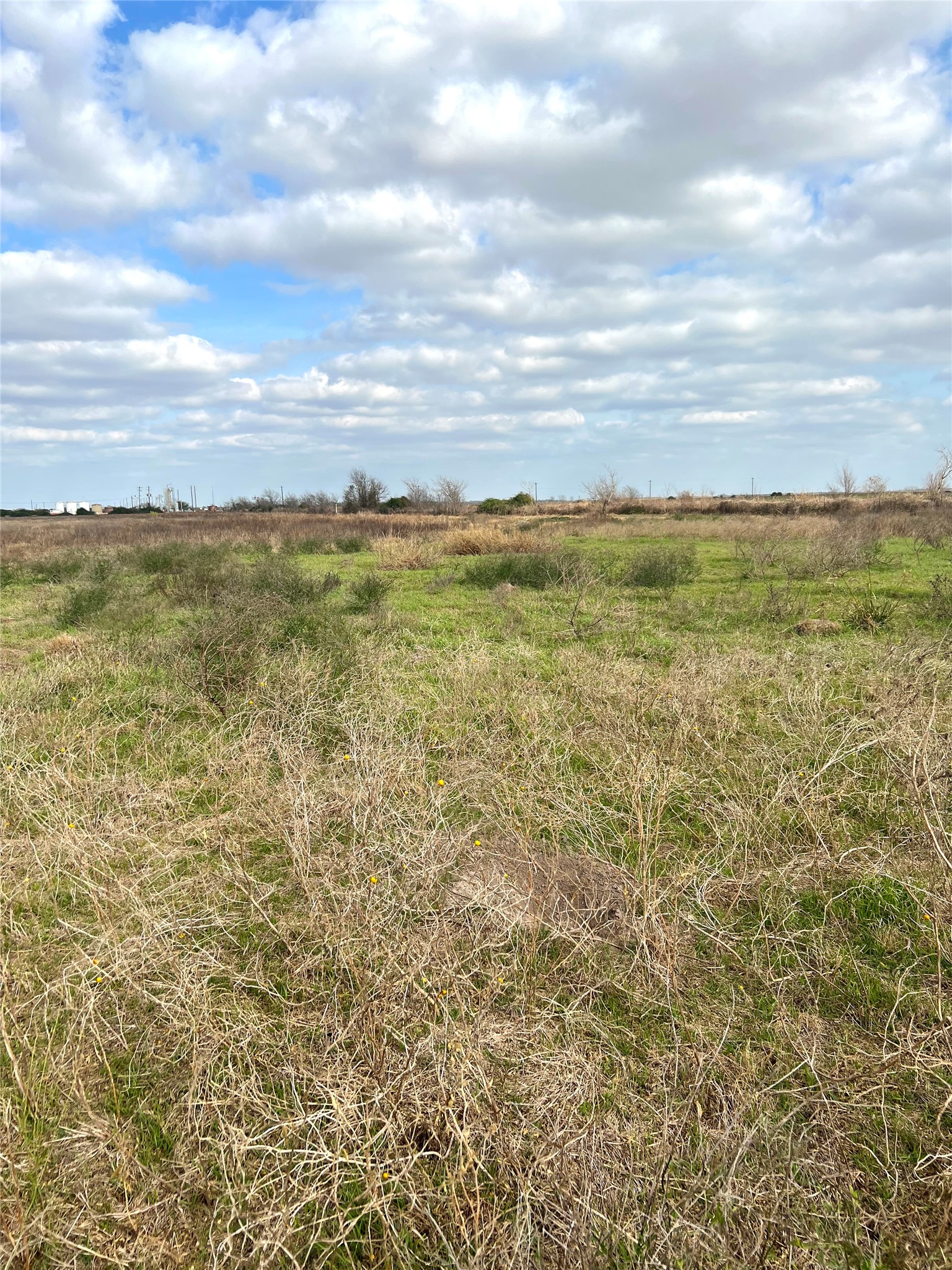 Tbd Lot 2 Tbd Road Eagle Lake, TX 77434 - Photo 12 of 24 Expansive open land featuring a mix of green and dry natural grasses under a broad sky with cloud cover