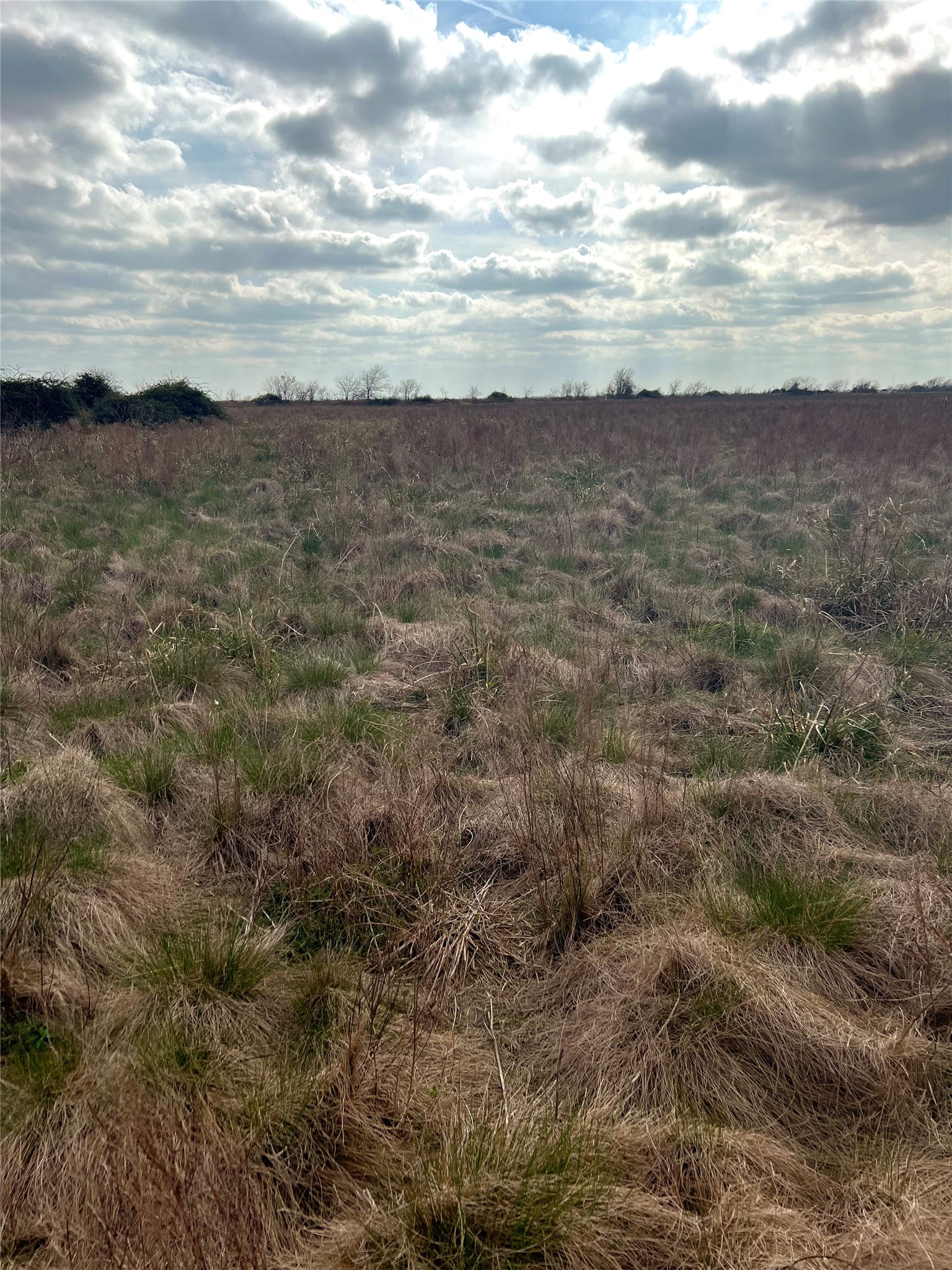 Tbd Lot 2 Tbd Road Eagle Lake, TX 77434 - Photo 14 of 24 Expansive open field with natural vegetation