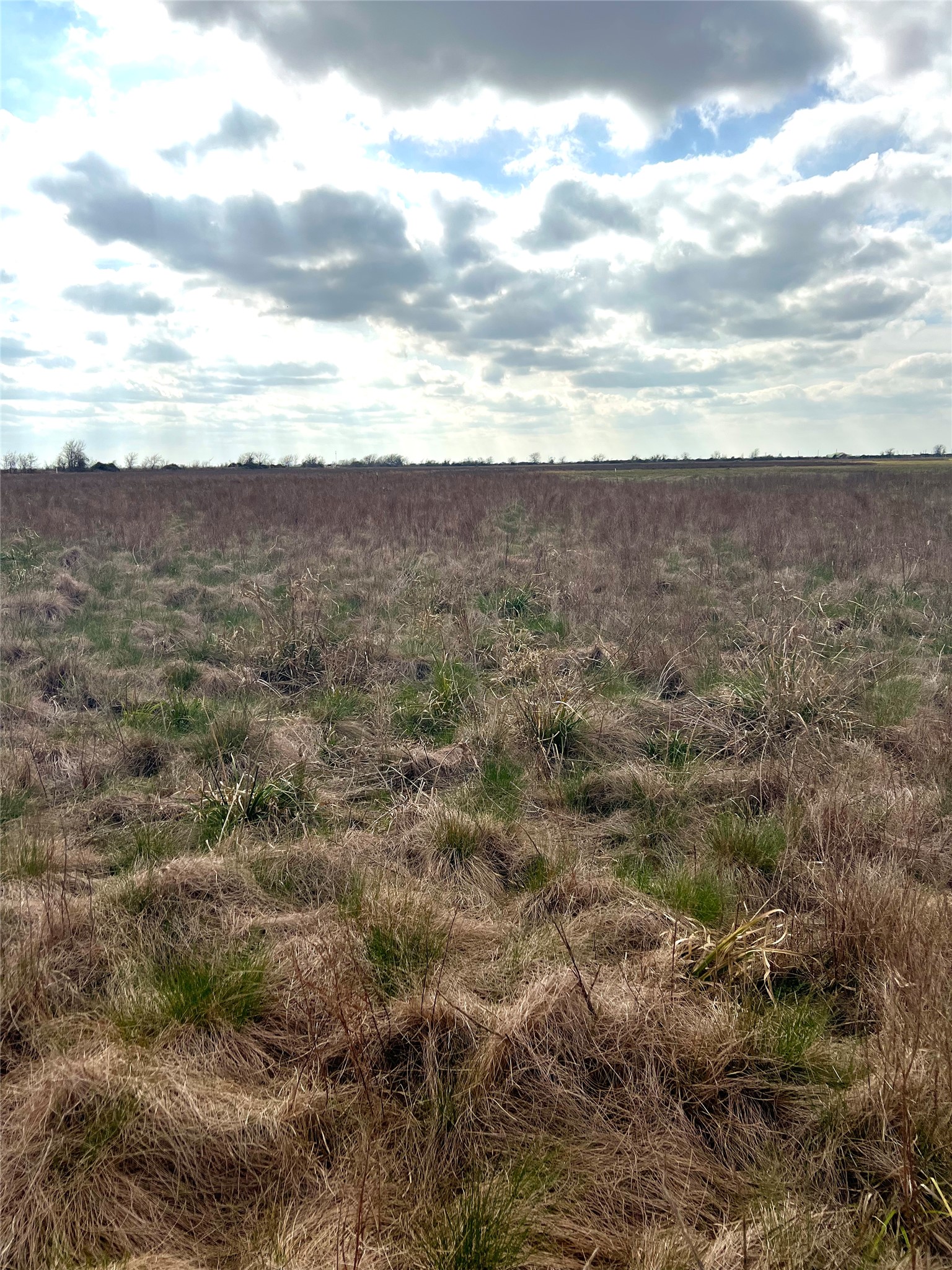 Tbd Lot 2 Tbd Road Eagle Lake, TX 77434 - Photo 15 of 24 Expansive land parcel featuring natural grasses and distant tree line