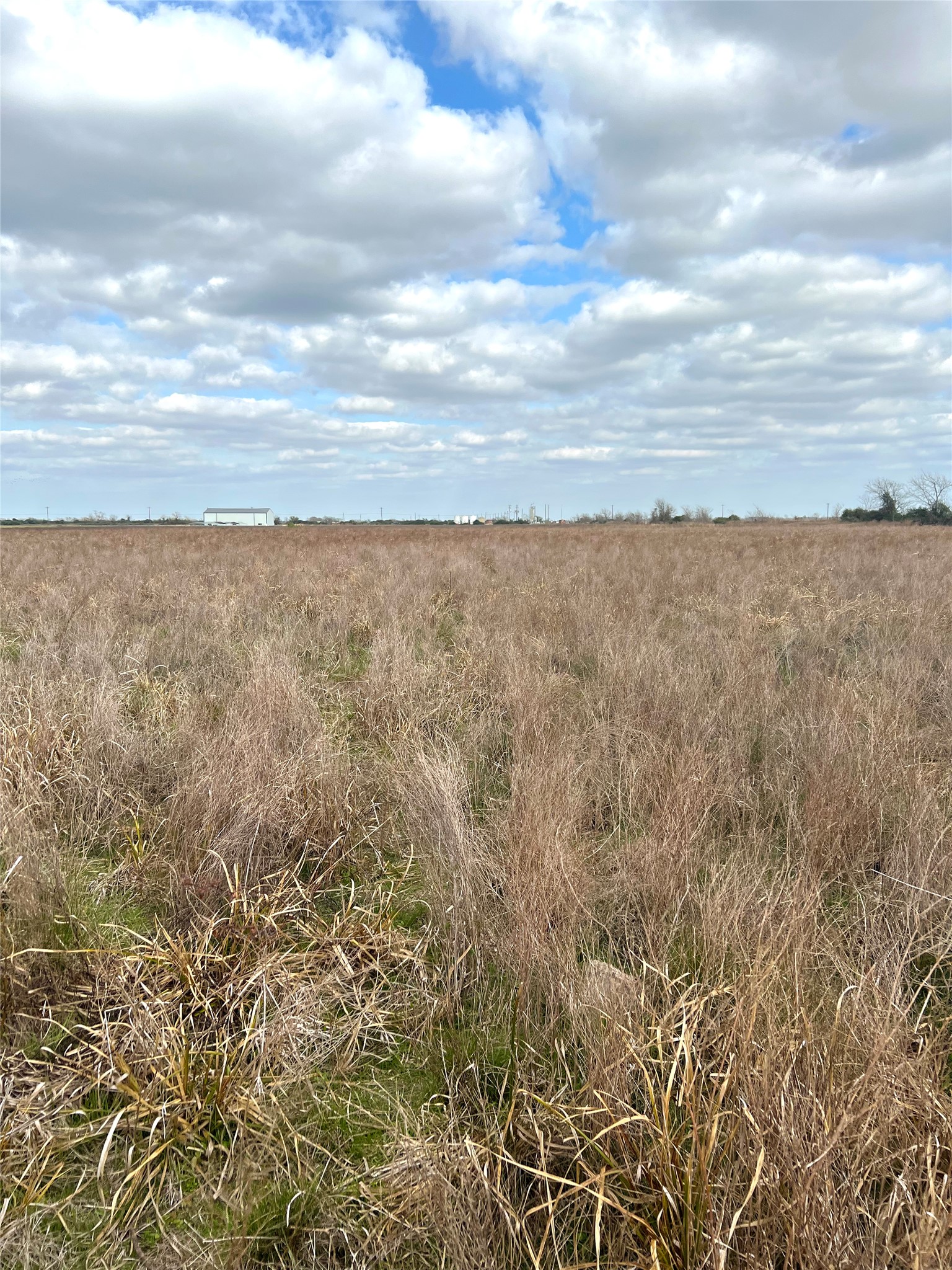Tbd Lot 2 Tbd Road Eagle Lake, TX 77434 - Photo 18 of 24 Expansive open field with natural grasses