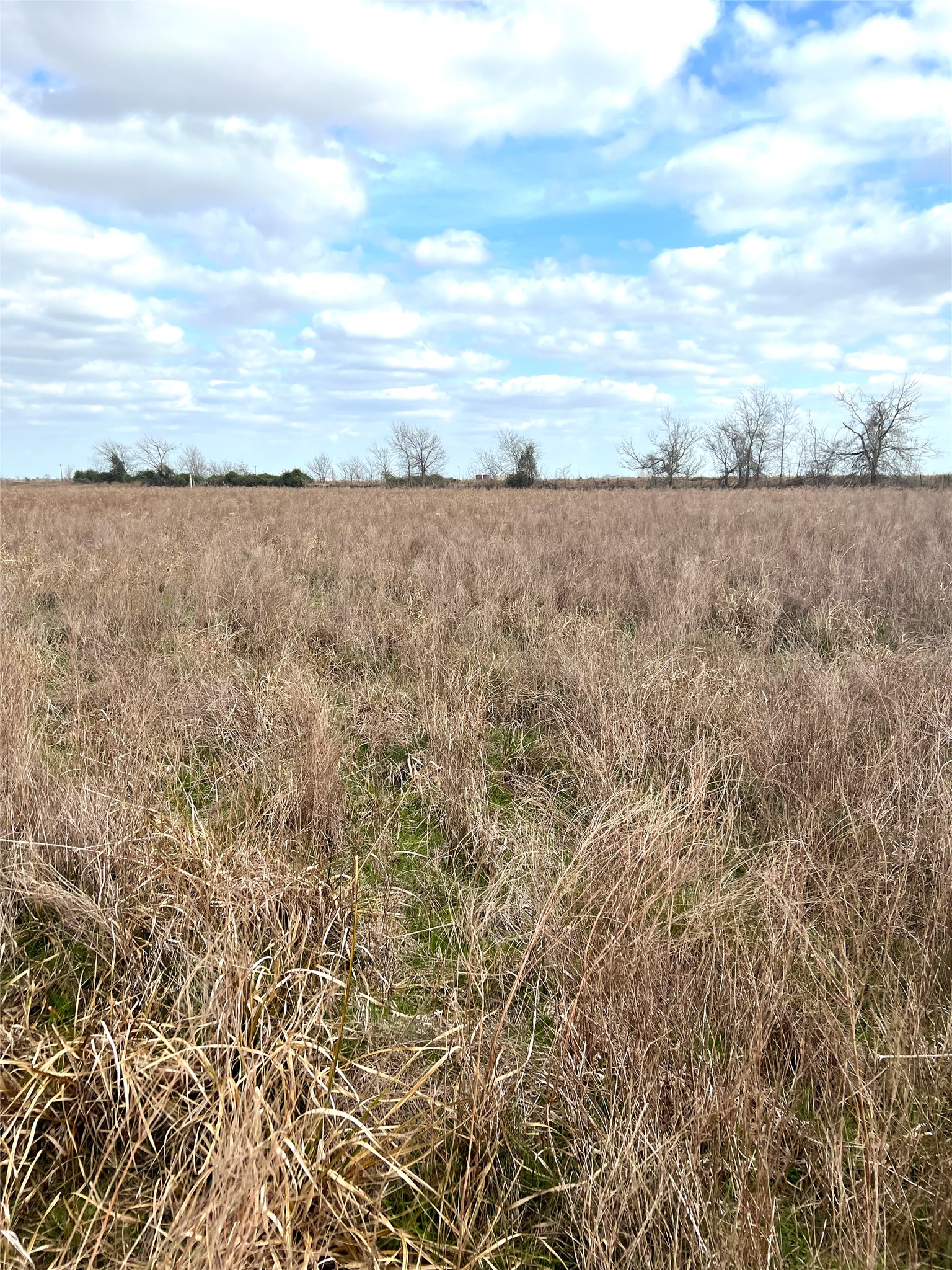 Tbd Lot 2 Tbd Road Eagle Lake, TX 77434 - Photo 19 of 24 Expansive parcel featuring natural grasslands and distant tree line