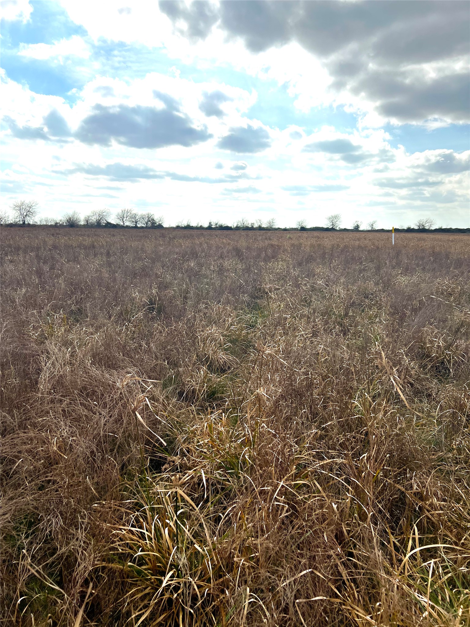 Tbd Lot 2 Tbd Road Eagle Lake, TX 77434 - Photo 2 of 24 Expansive open field with natural vegetation under a spacious sky