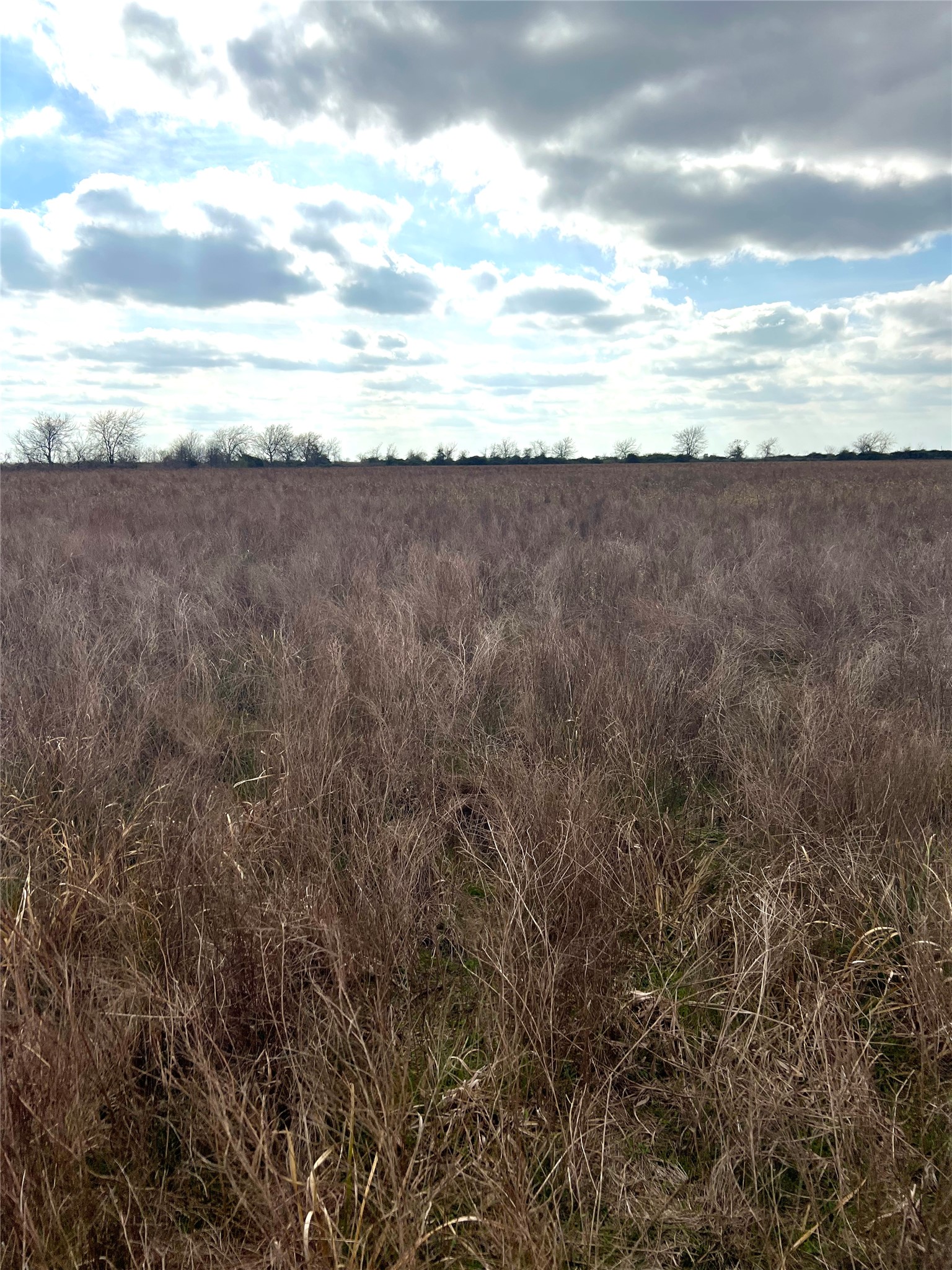 Tbd Lot 2 Tbd Road Eagle Lake, TX 77434 - Photo 21 of 24 Expansive open field featuring natural grasses and distant tree line