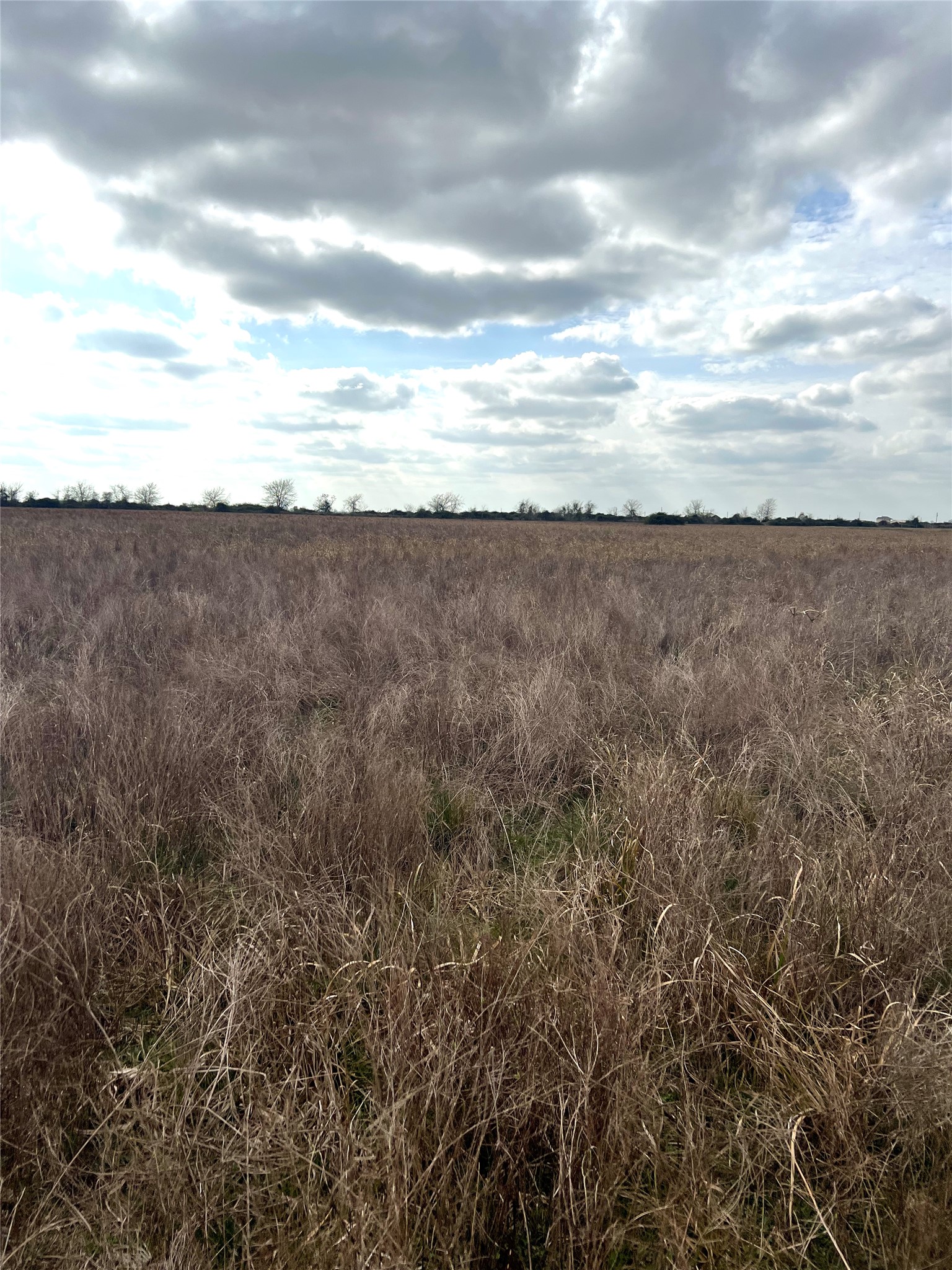Tbd Lot 2 Tbd Road Eagle Lake, TX 77434 - Photo 22 of 24 Expansive open field with natural vegetation