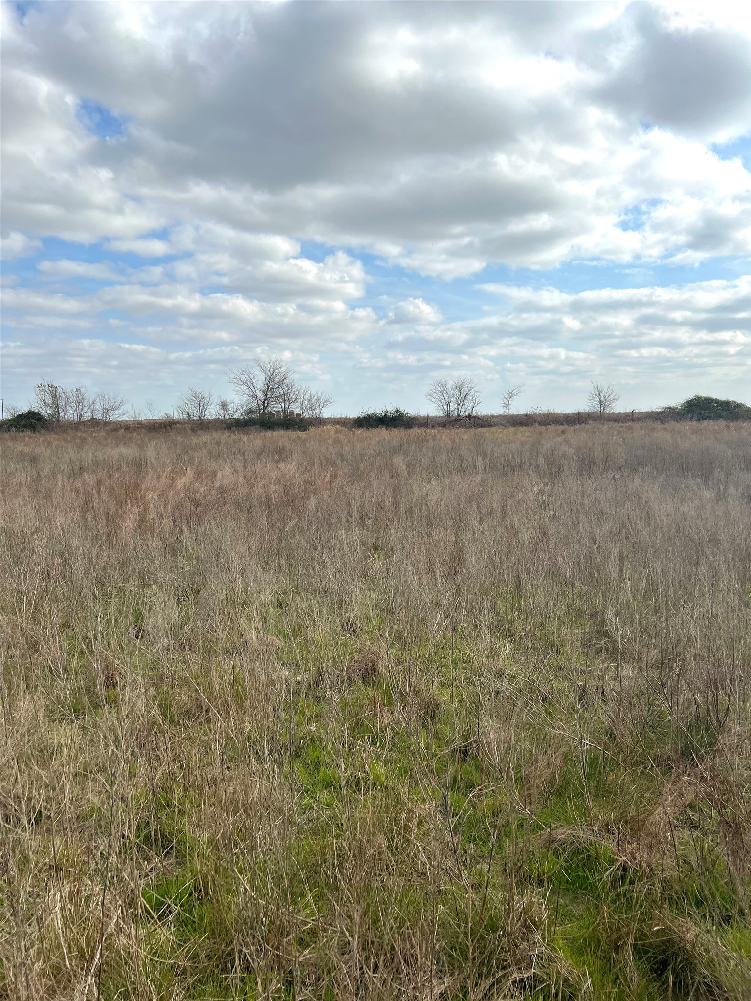 Tbd Lot 2 Tbd Road Eagle Lake, TX 77434 - Photo 23 of 24 Expansive land parcel featuring natural grasses and scattered deciduous trees