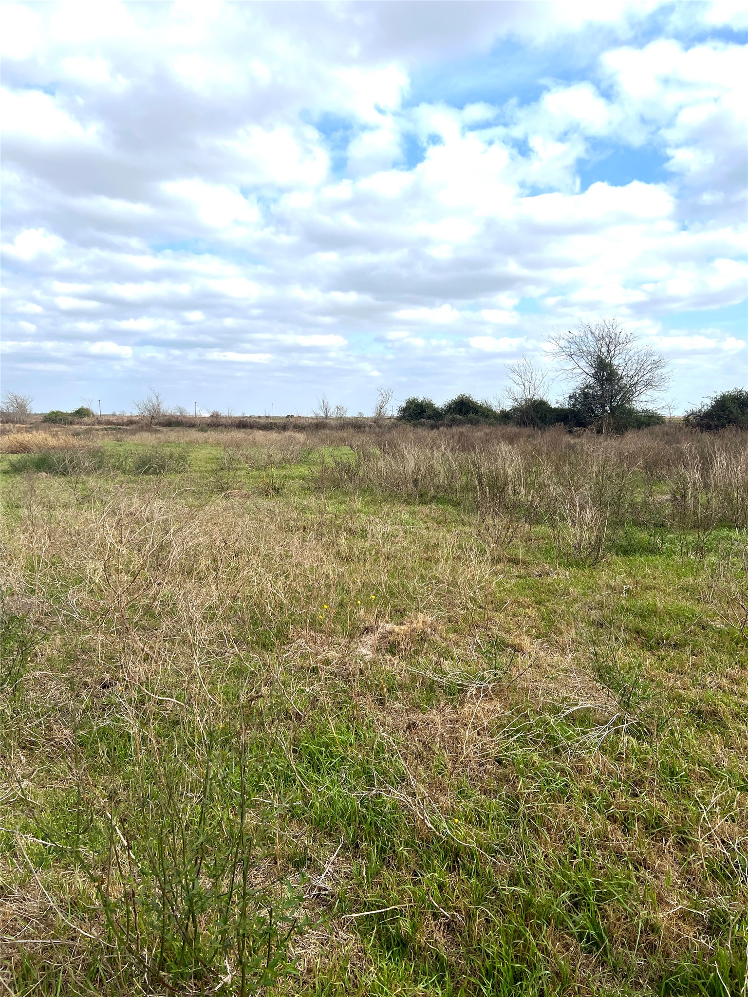 Tbd Lot 2 Tbd Road Eagle Lake, TX 77434 - Photo 4 of 24 Expansive undeveloped land featuring natural grasses and scattered shrubbery
