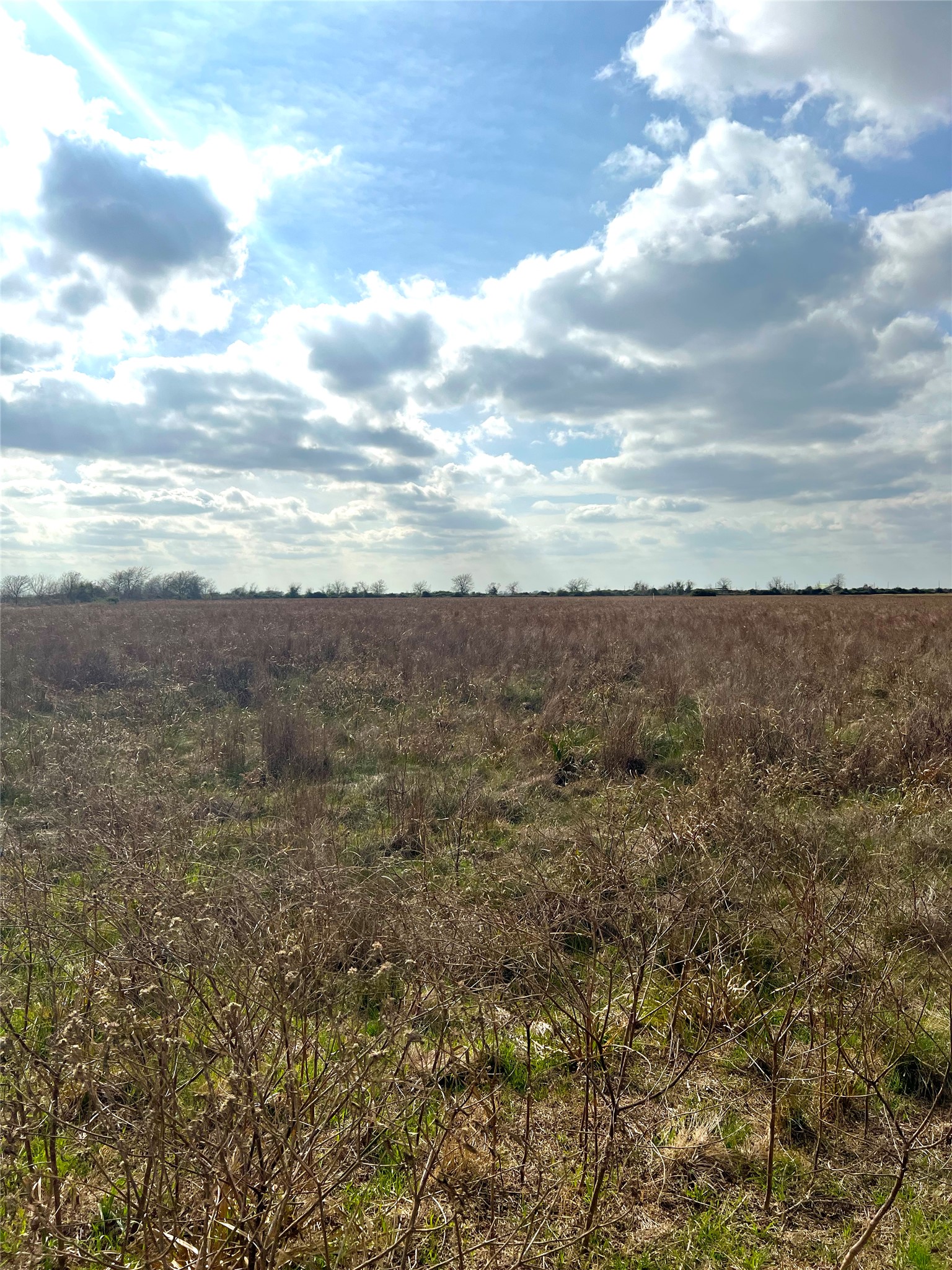 Tbd Lot 2 Tbd Road Eagle Lake, TX 77434 - Photo 7 of 24 Expansive, undeveloped parcel featuring natural vegetation and a distant tree line
