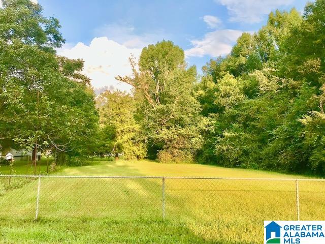 800 Philadelphia Church Road Piedmont, AL 36272 - Photo 20 of 20