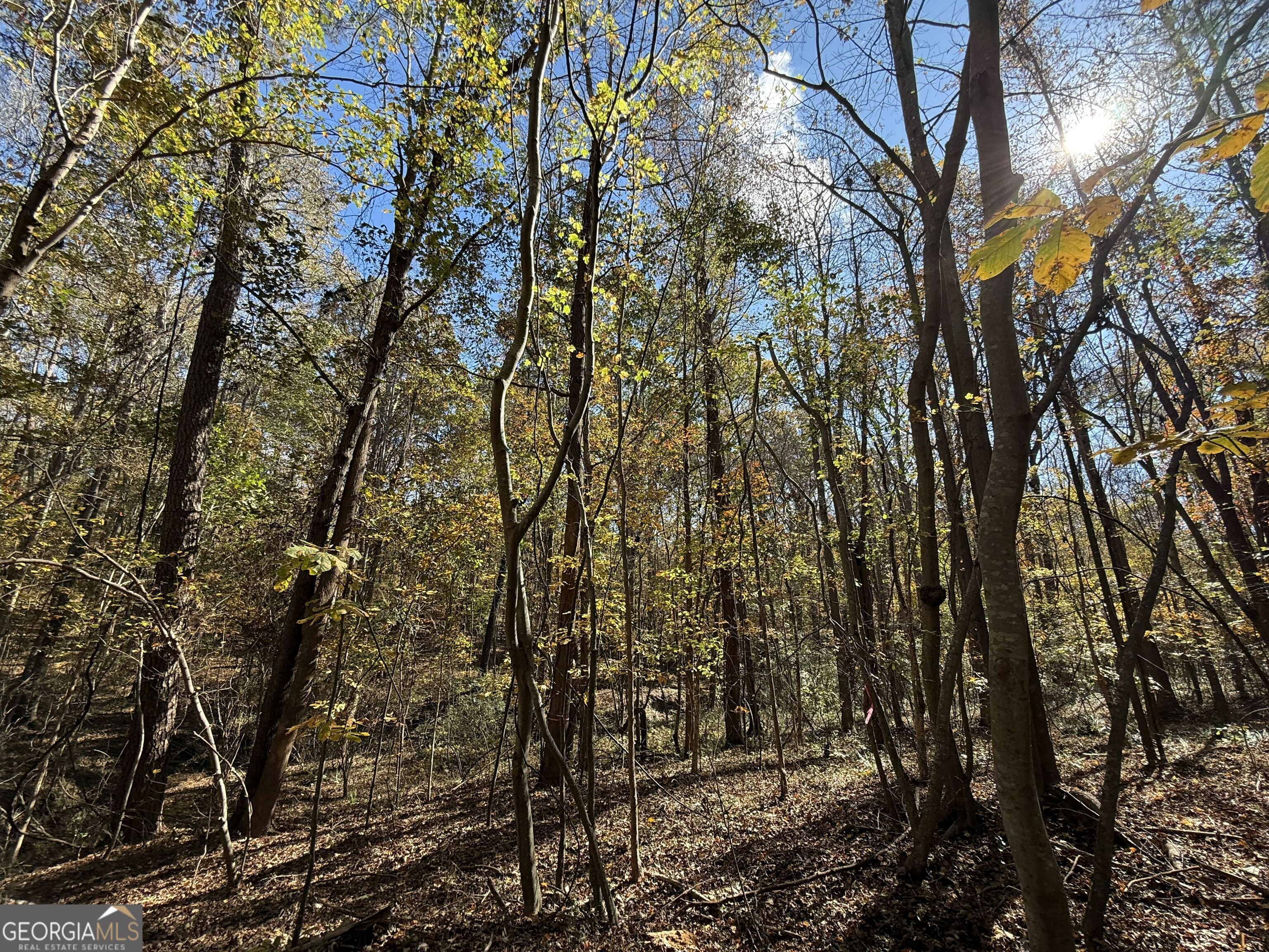 2 Lem Edwards Road Winterville, GA 30628 - Photo 11 of 54