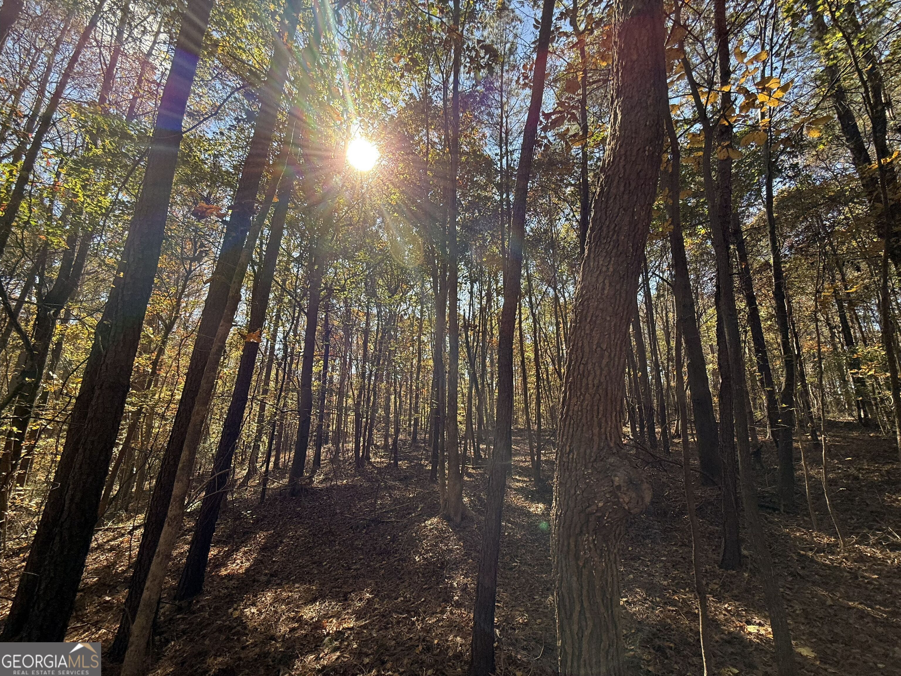 2 Lem Edwards Road Winterville, GA 30628 - Photo 12 of 54