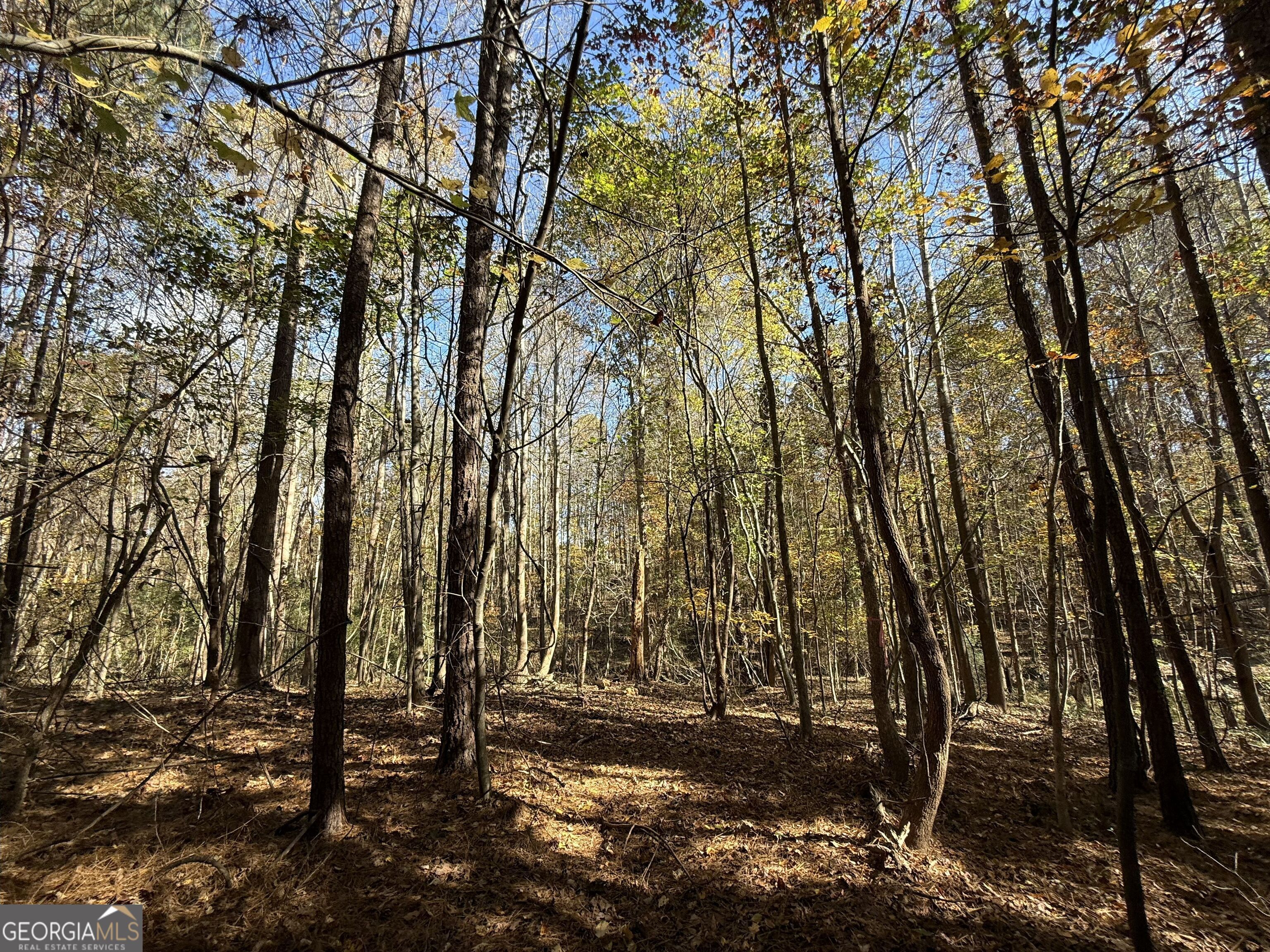 2 Lem Edwards Road Winterville, GA 30628 - Photo 13 of 54