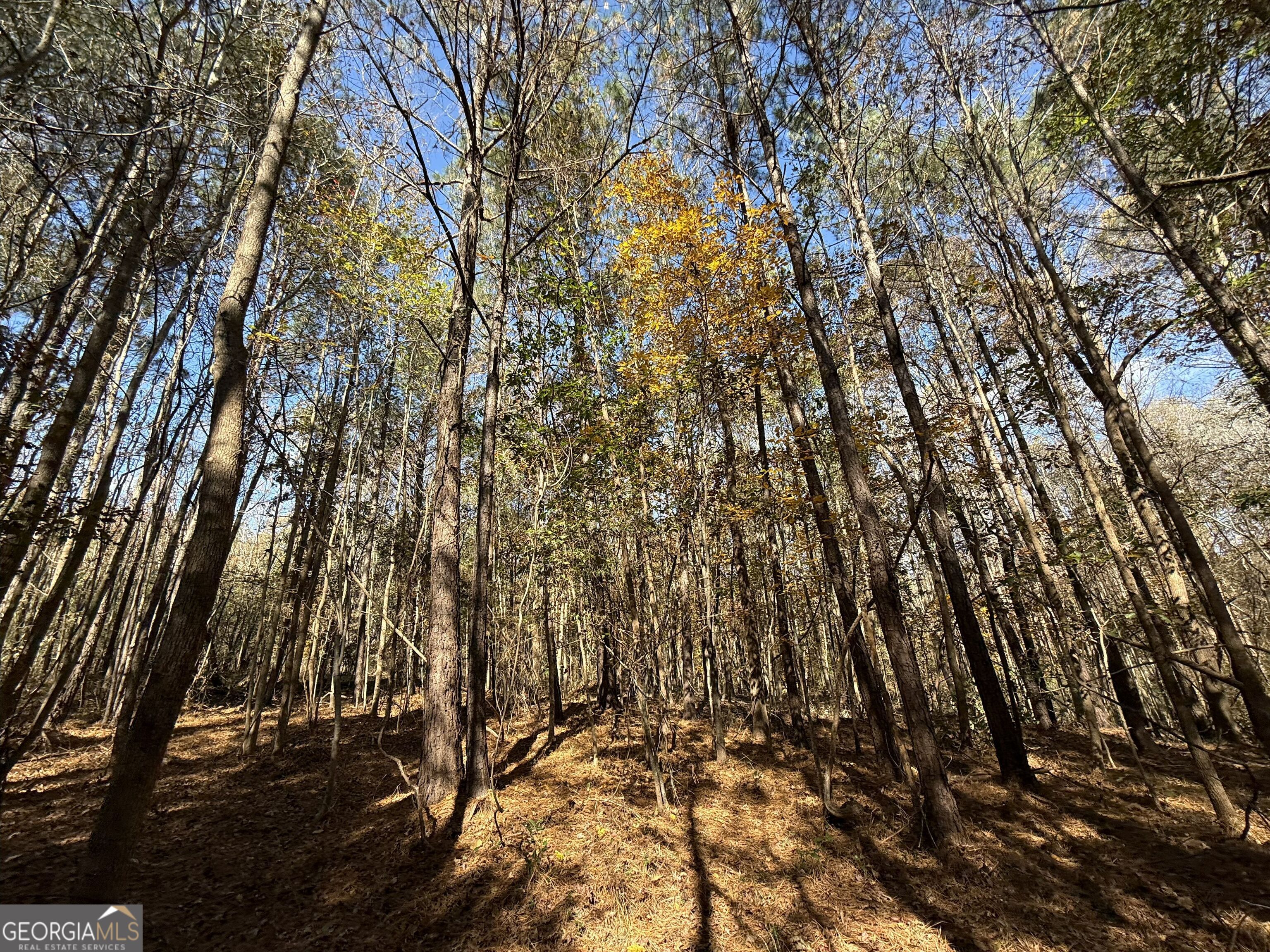 2 Lem Edwards Road Winterville, GA 30628 - Photo 14 of 54