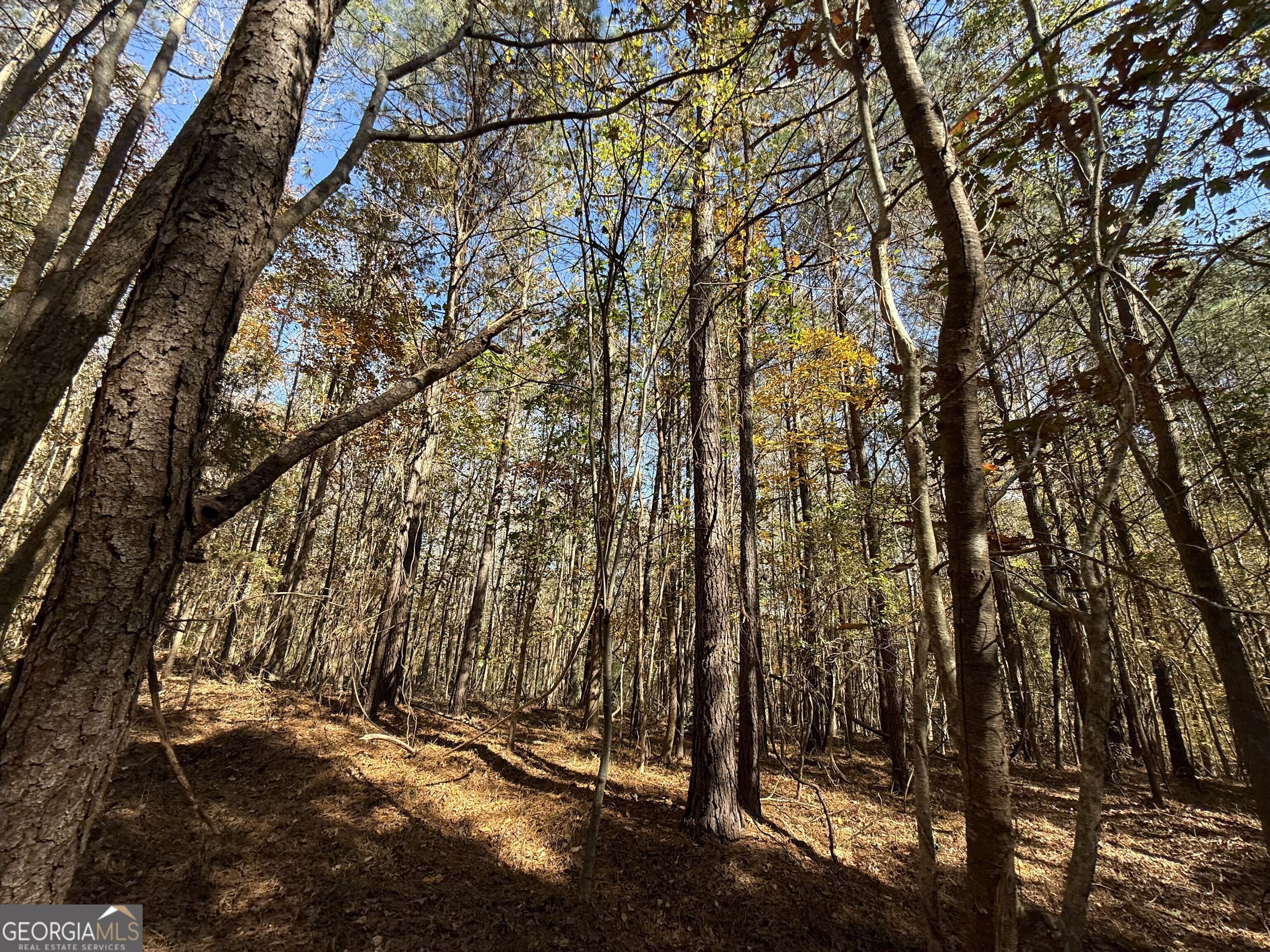 2 Lem Edwards Road Winterville, GA 30628 - Photo 15 of 54