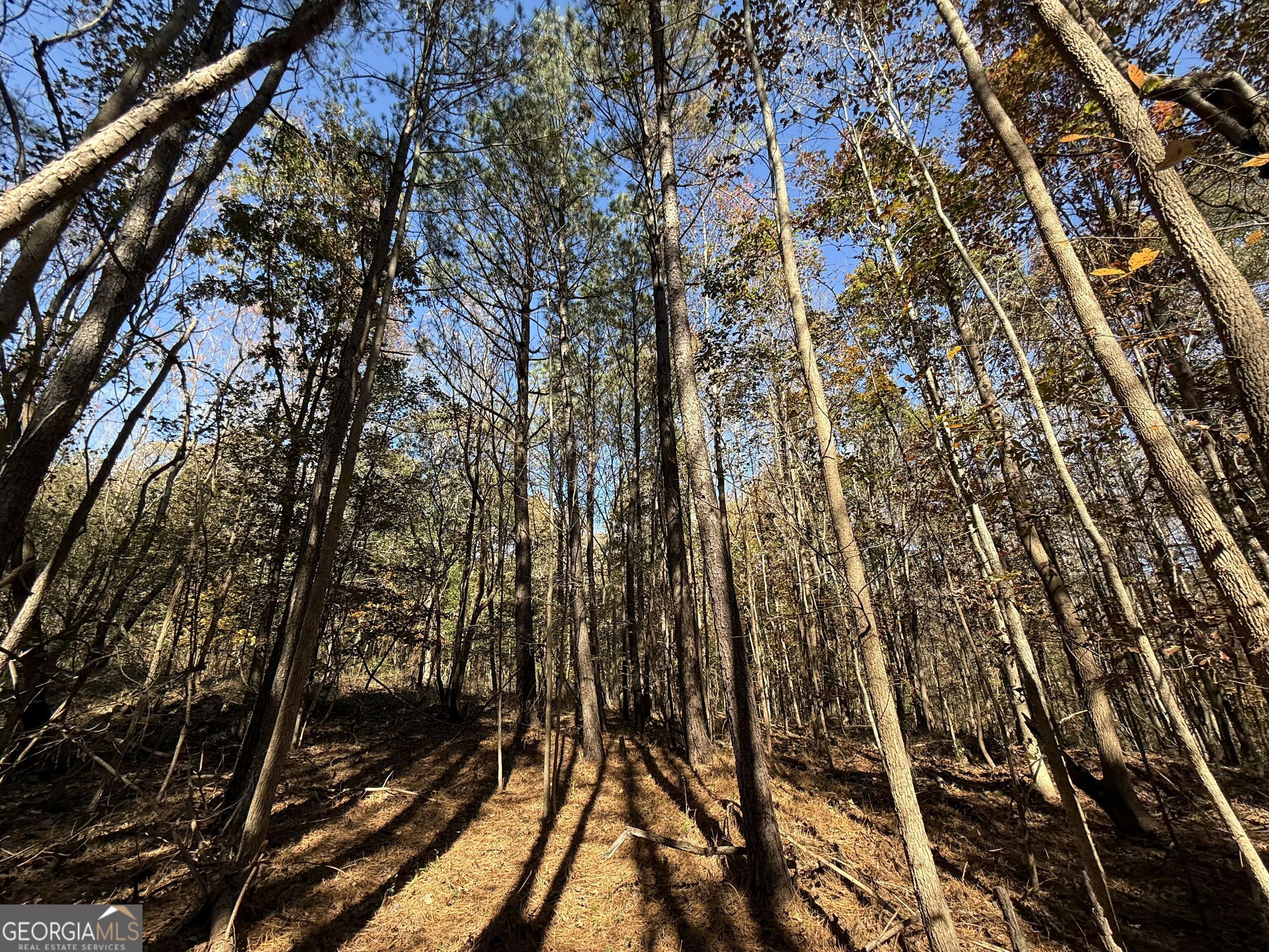 2 Lem Edwards Road Winterville, GA 30628 - Photo 16 of 54