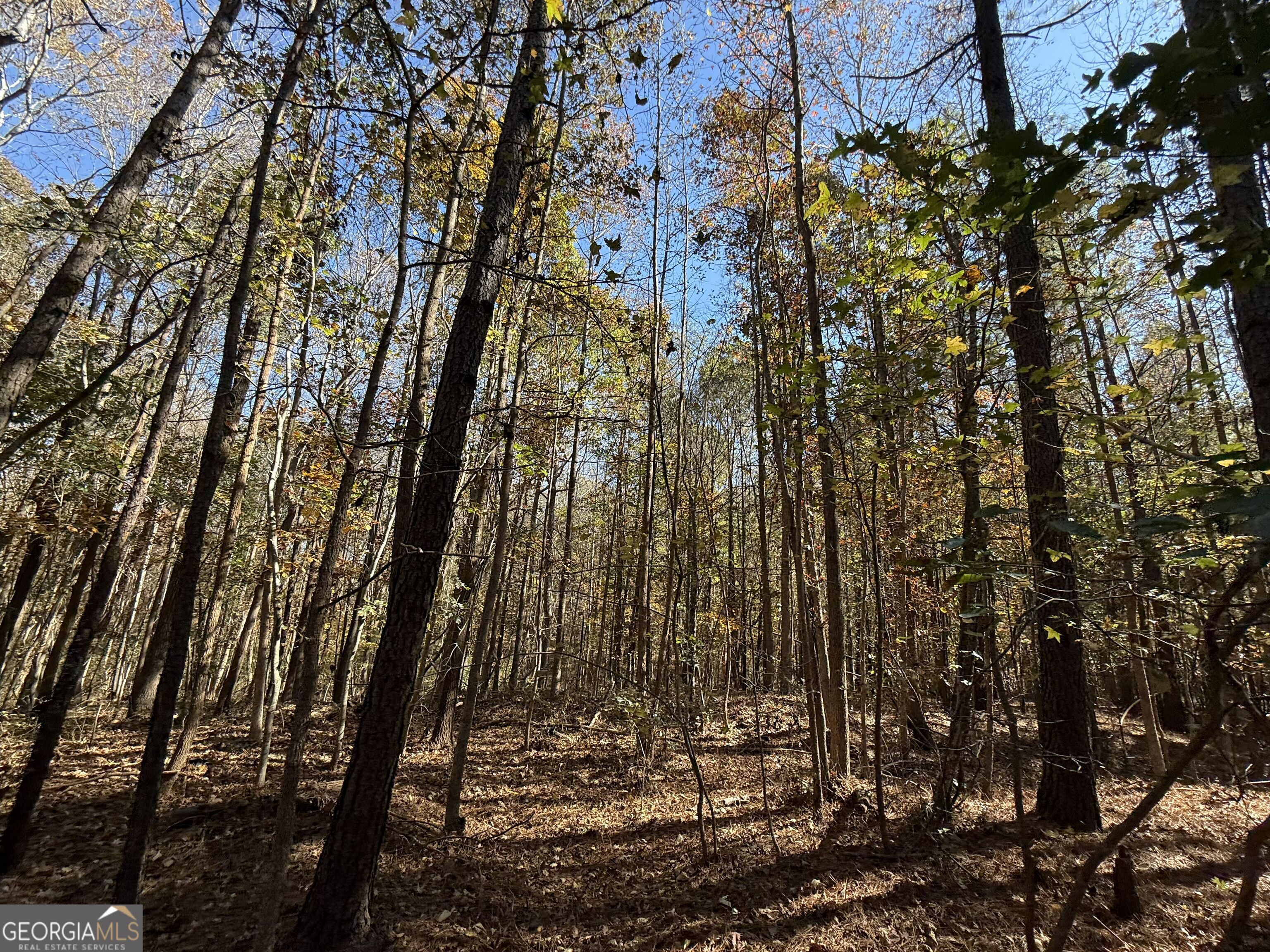 2 Lem Edwards Road Winterville, GA 30628 - Photo 17 of 54