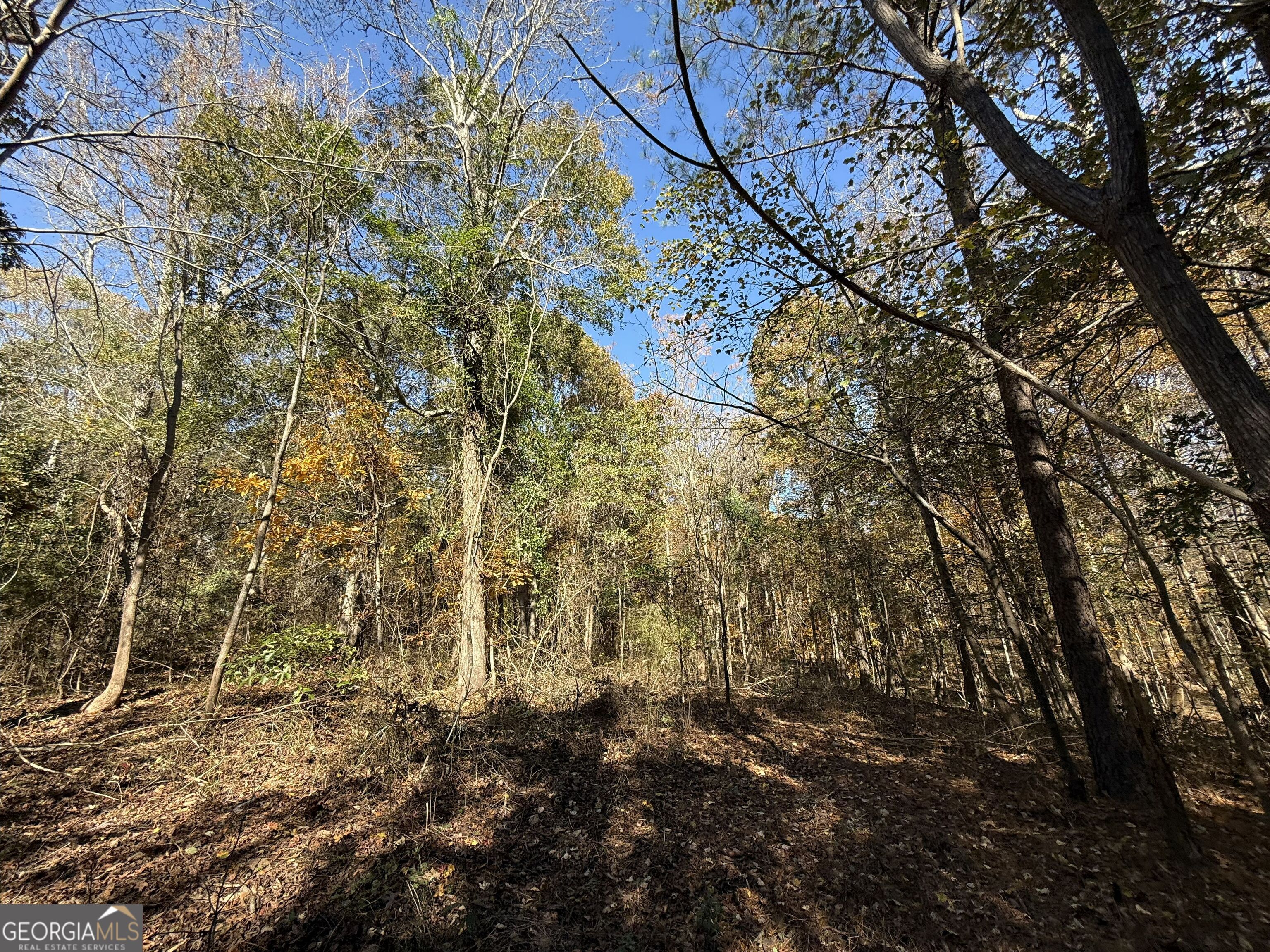 2 Lem Edwards Road Winterville, GA 30628 - Photo 18 of 54