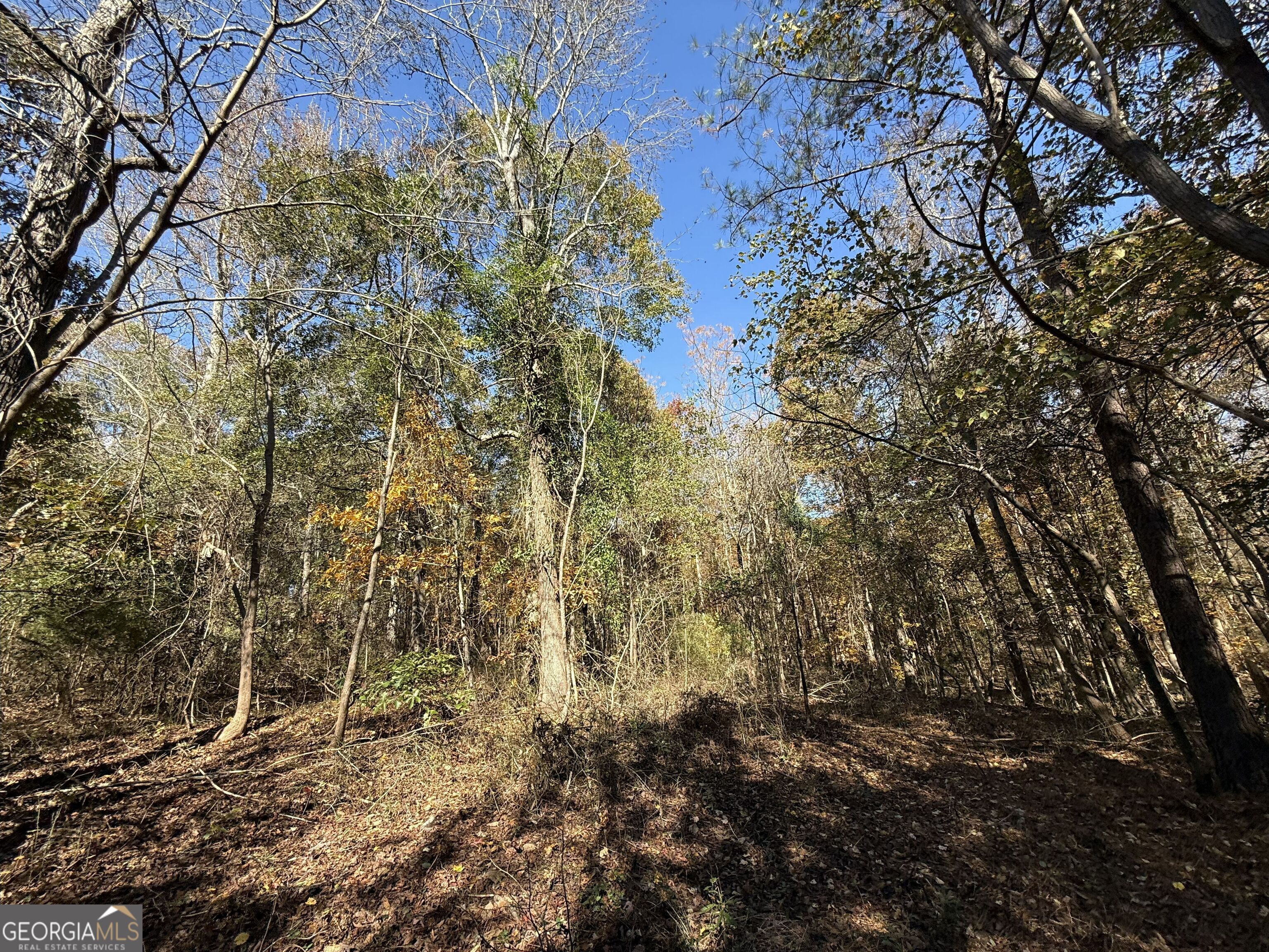 2 Lem Edwards Road Winterville, GA 30628 - Photo 19 of 54