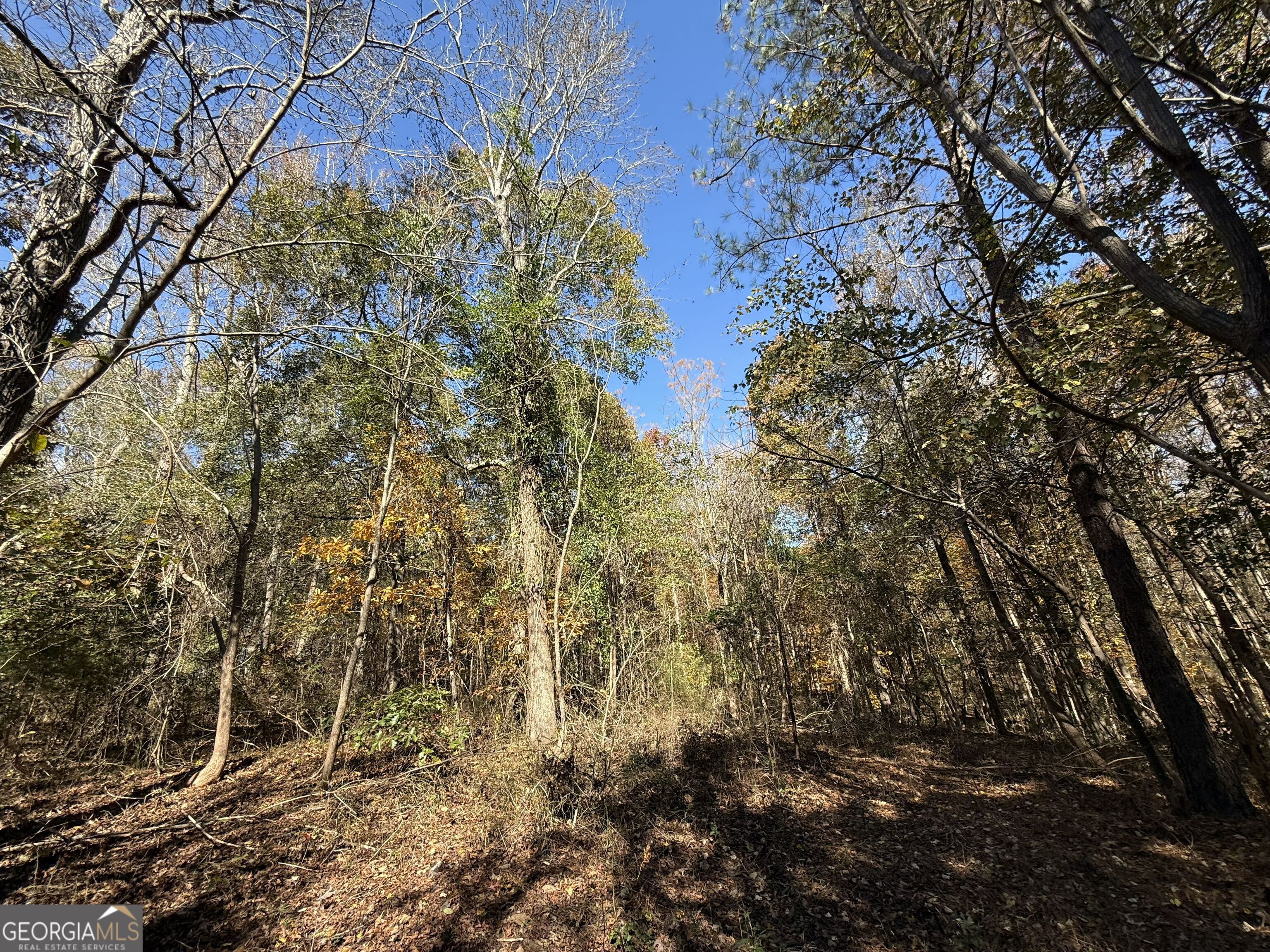 2 Lem Edwards Road Winterville, GA 30628 - Photo 20 of 54