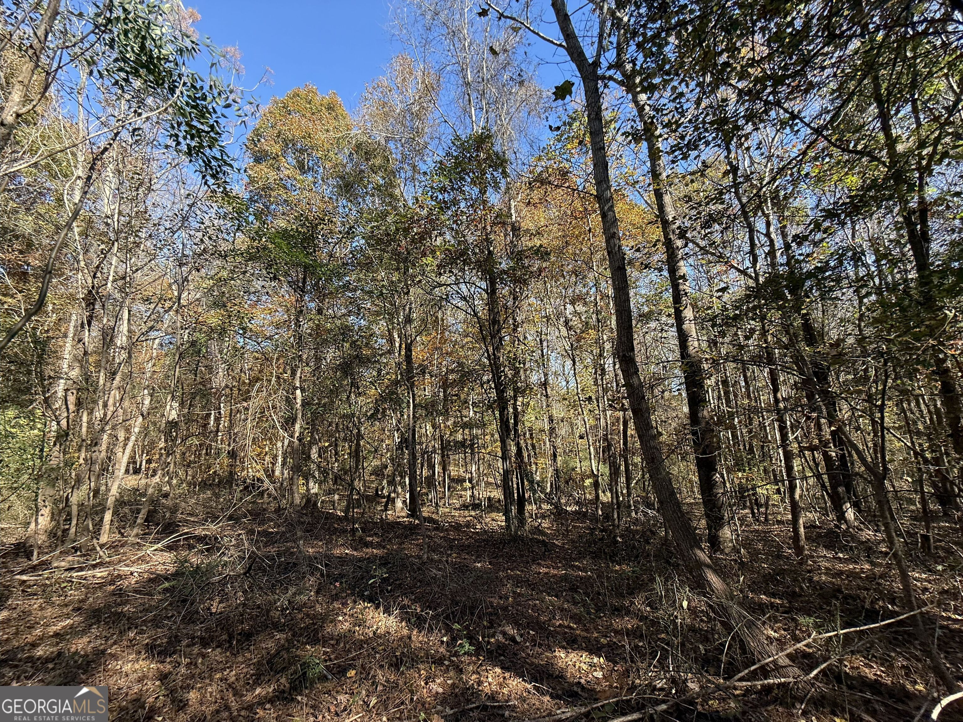 2 Lem Edwards Road Winterville, GA 30628 - Photo 21 of 54