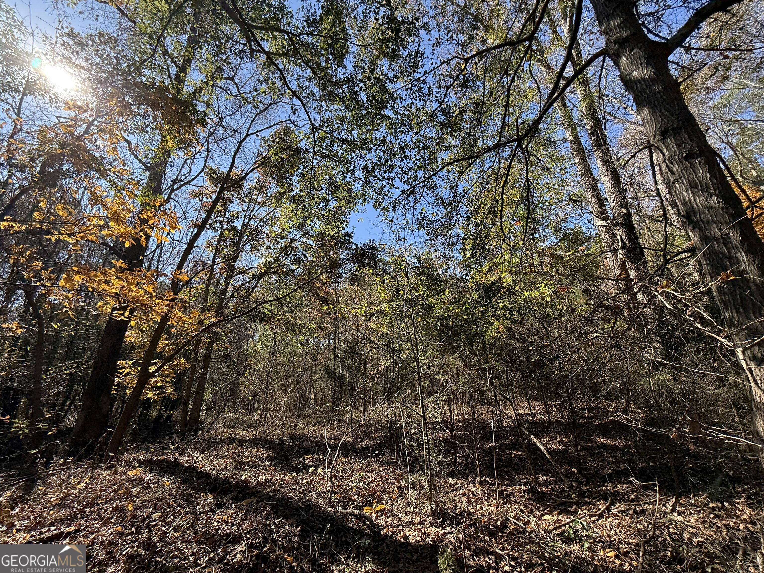 2 Lem Edwards Road Winterville, GA 30628 - Photo 22 of 54