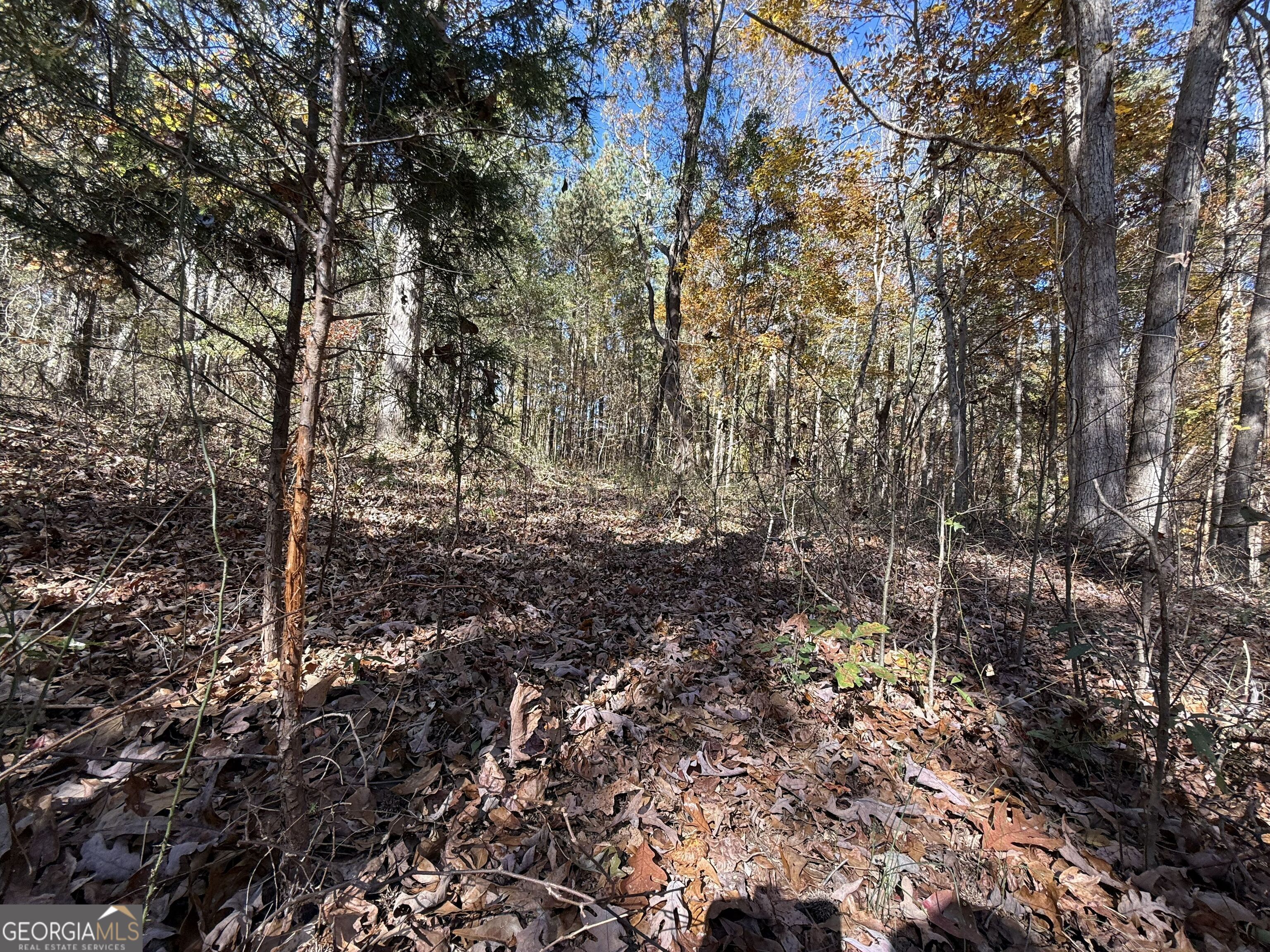 2 Lem Edwards Road Winterville, GA 30628 - Photo 23 of 54