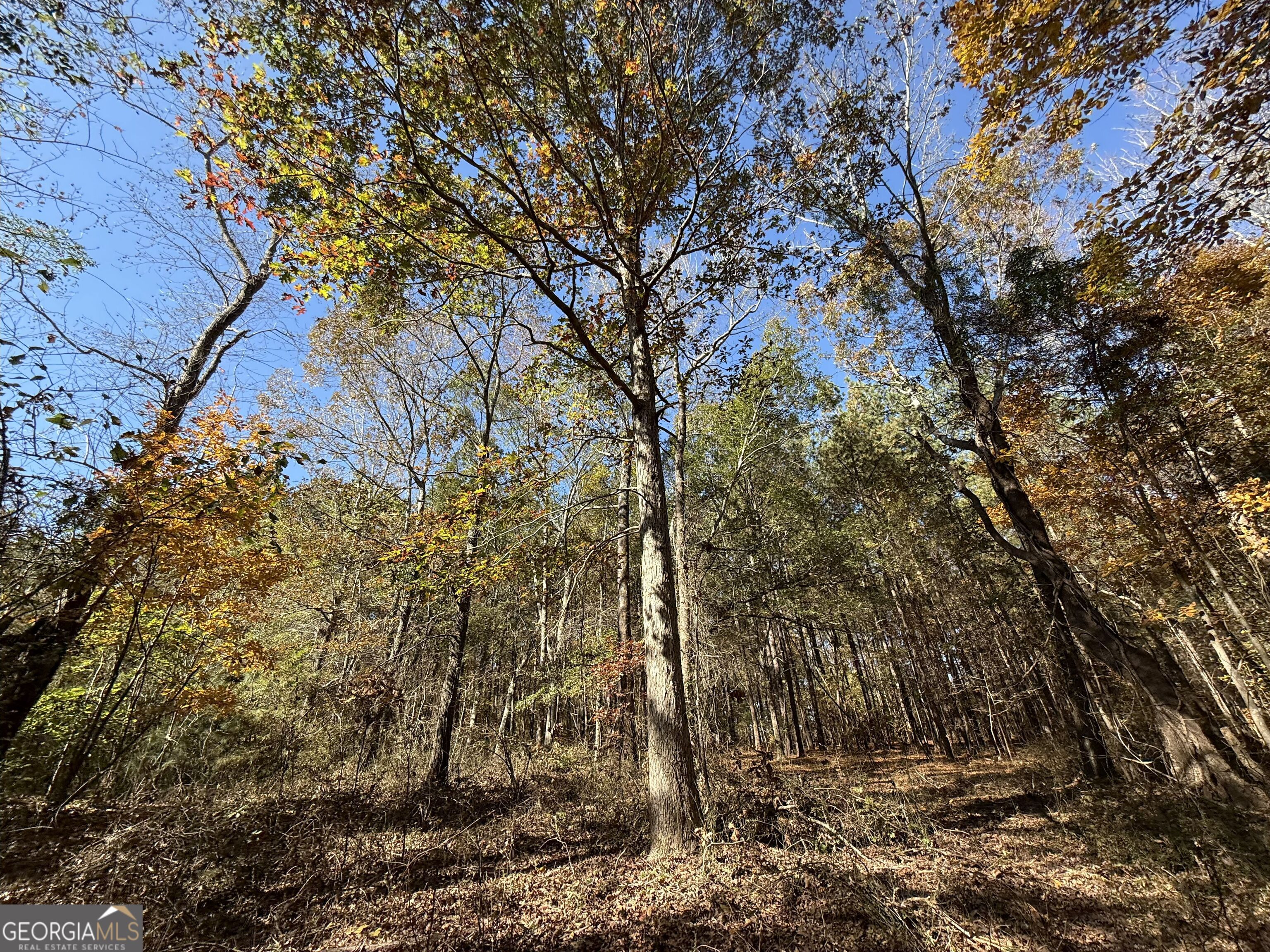 2 Lem Edwards Road Winterville, GA 30628 - Photo 24 of 54