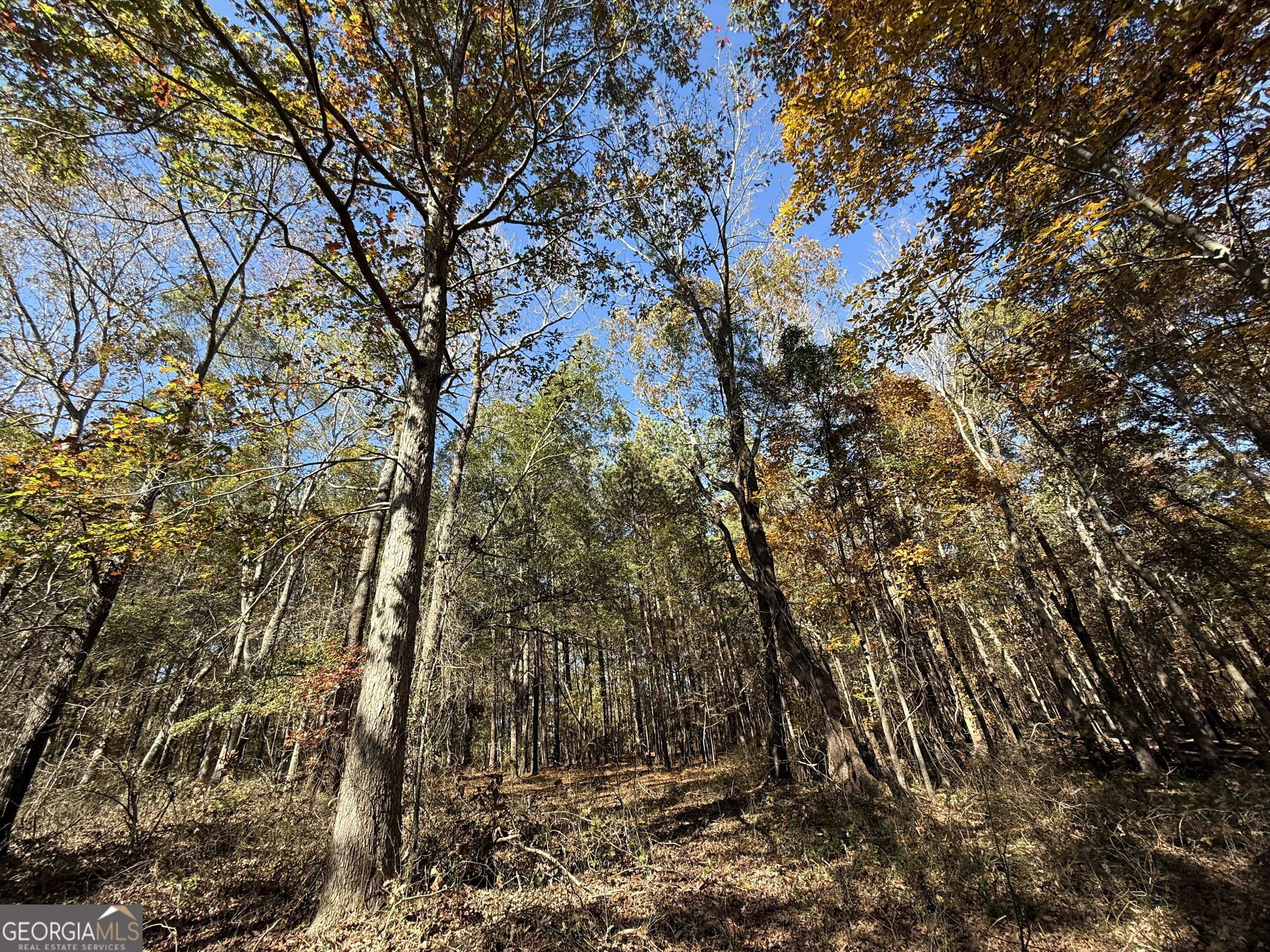 2 Lem Edwards Road Winterville, GA 30628 - Photo 25 of 54