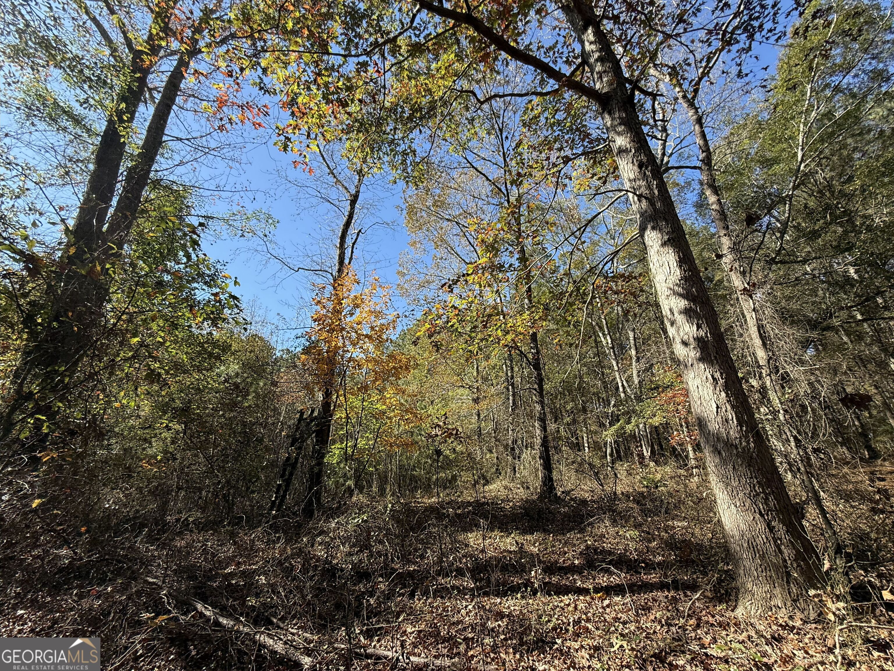 2 Lem Edwards Road Winterville, GA 30628 - Photo 26 of 54