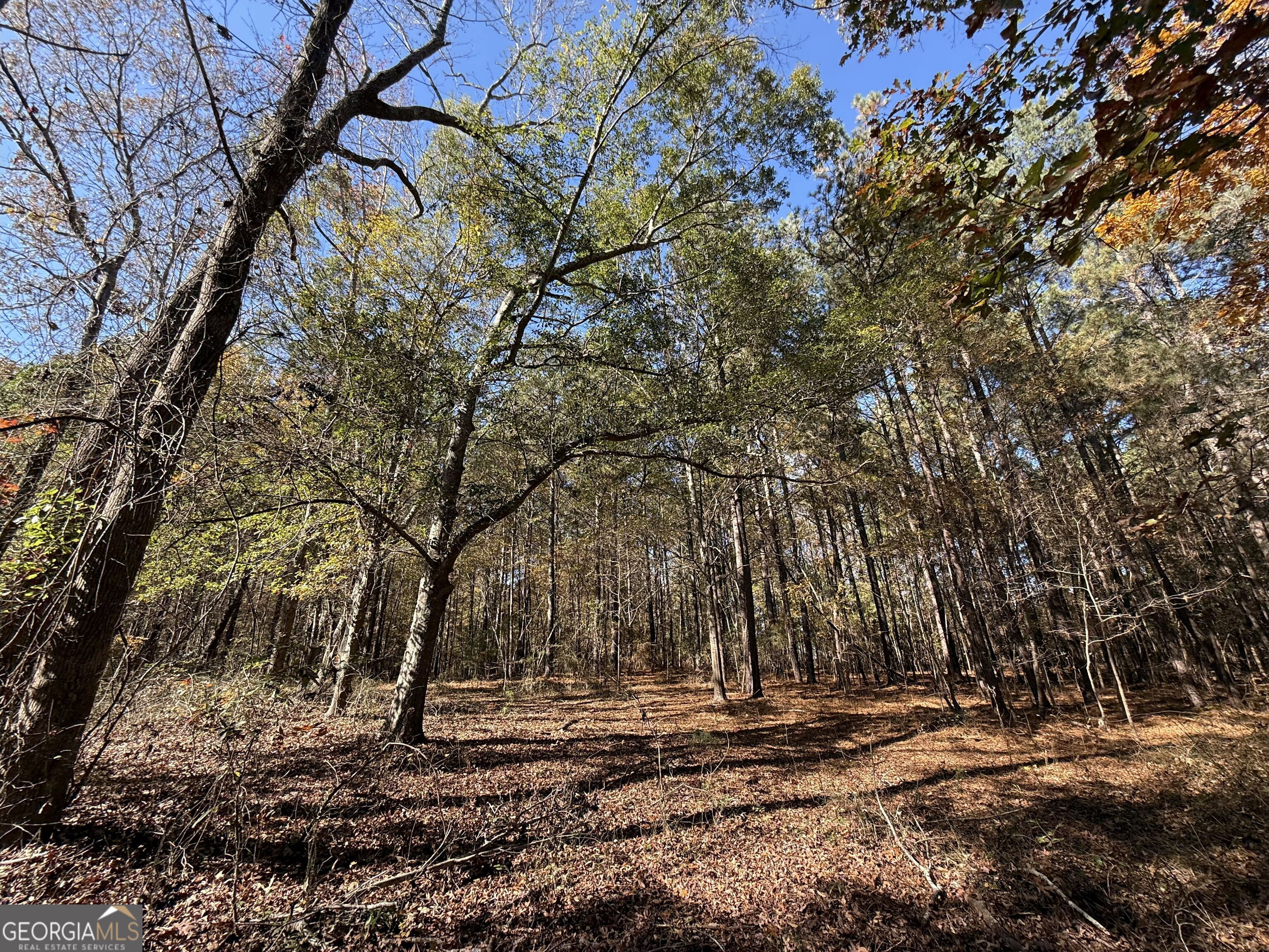 2 Lem Edwards Road Winterville, GA 30628 - Photo 27 of 54