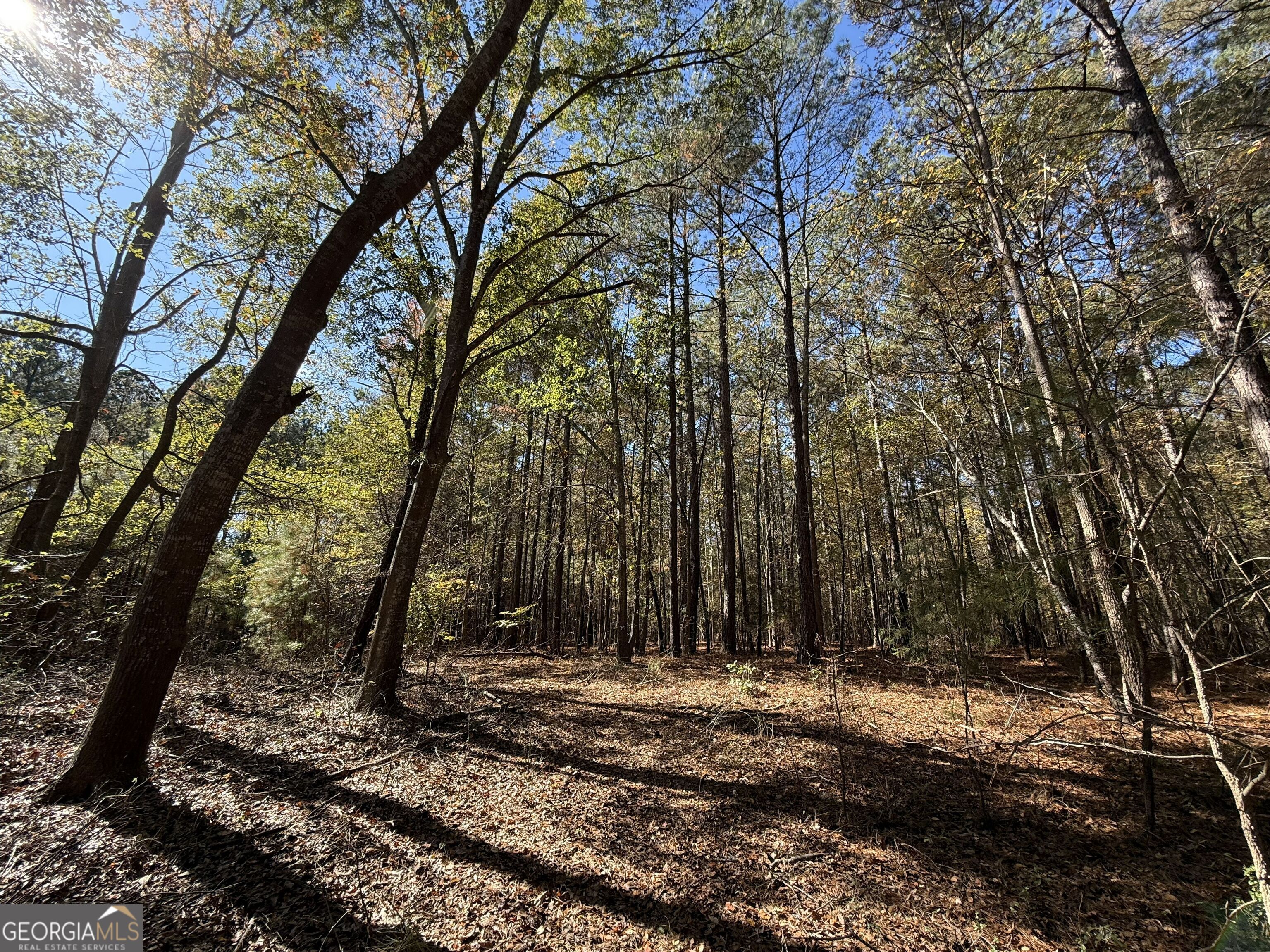 2 Lem Edwards Road Winterville, GA 30628 - Photo 28 of 54