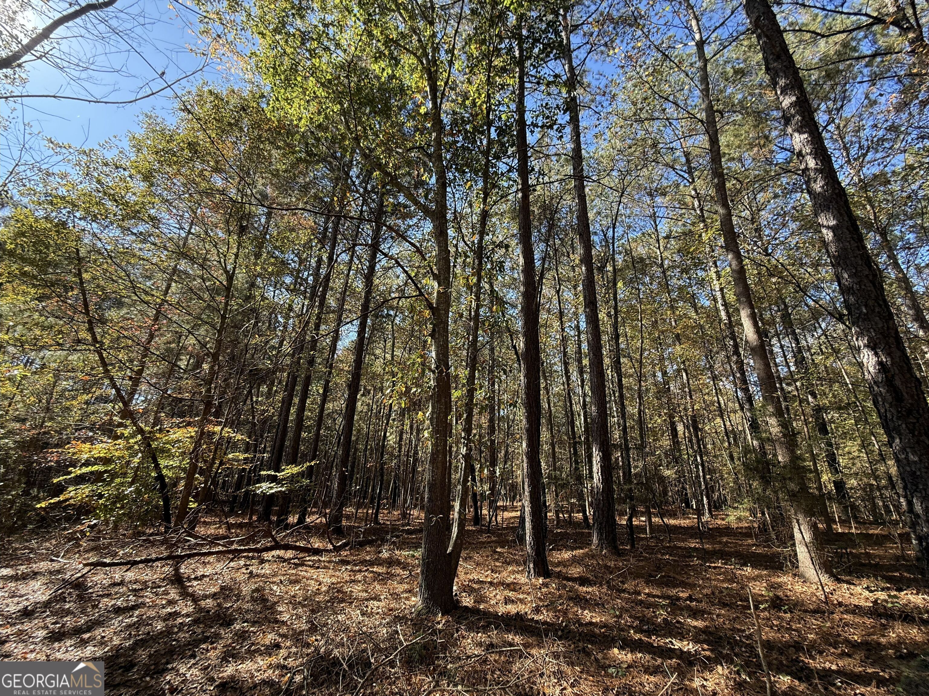 2 Lem Edwards Road Winterville, GA 30628 - Photo 29 of 54