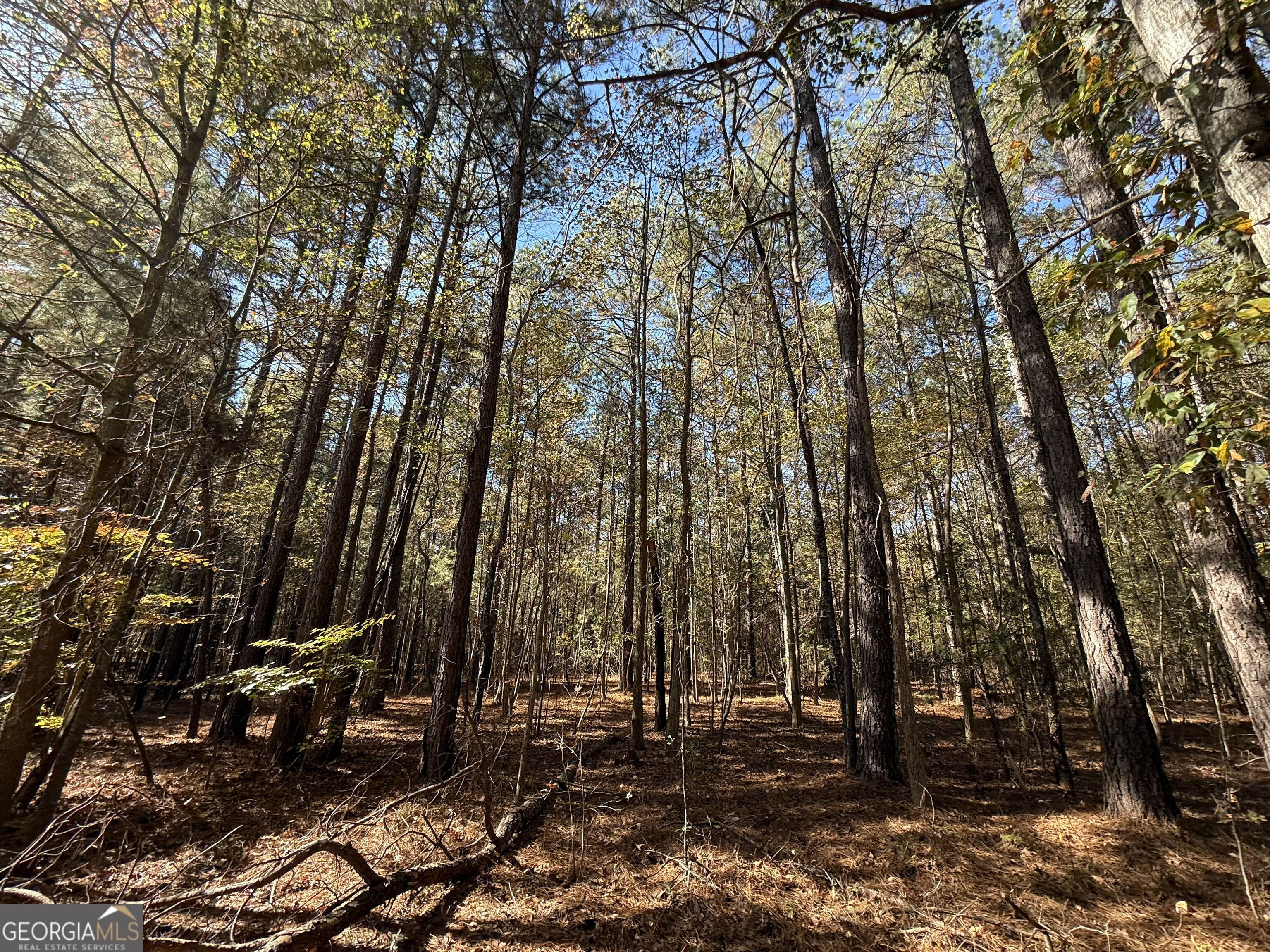 2 Lem Edwards Road Winterville, GA 30628 - Photo 30 of 54