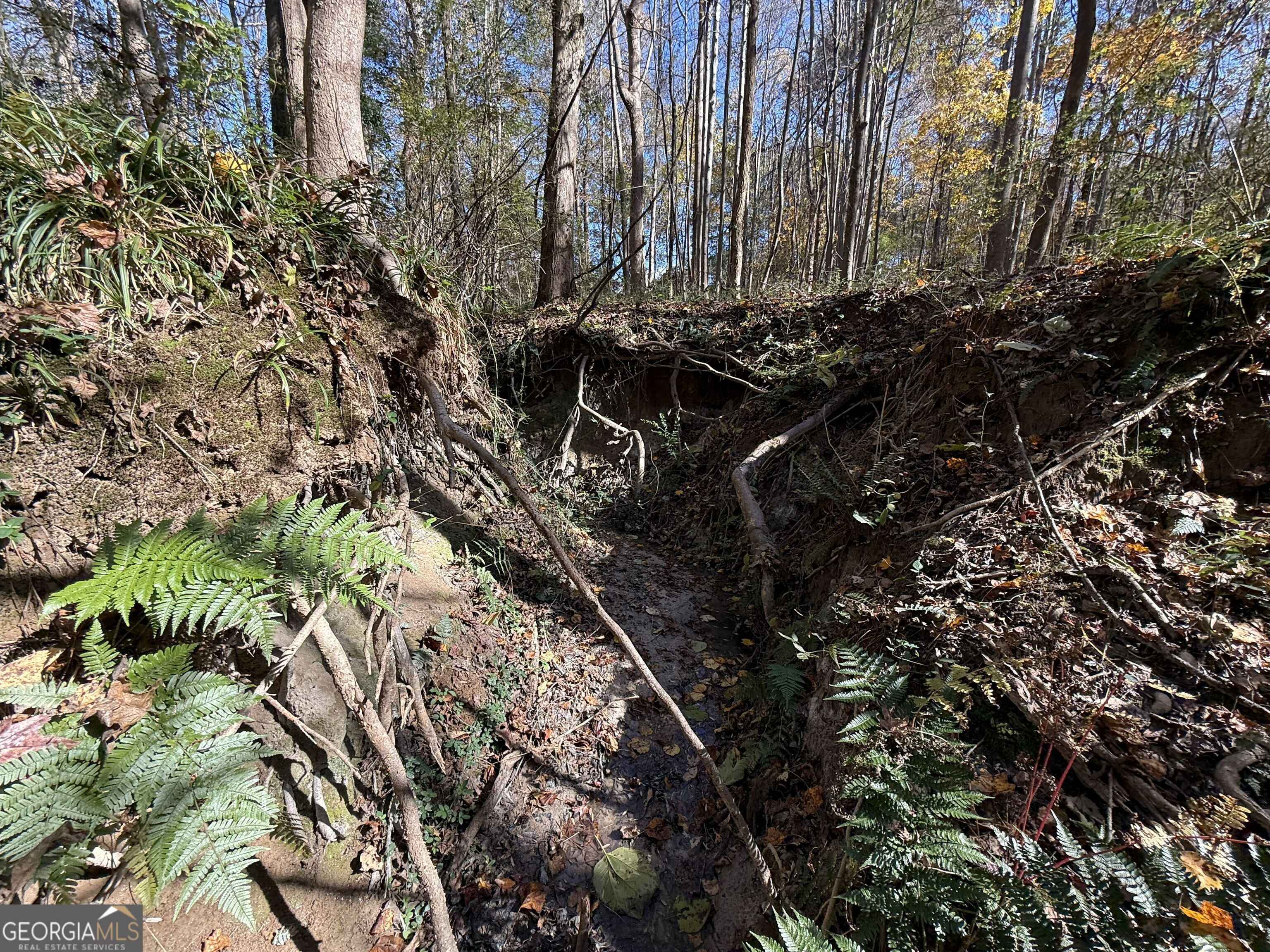 2 Lem Edwards Road Winterville, GA 30628 - Photo 3 of 54