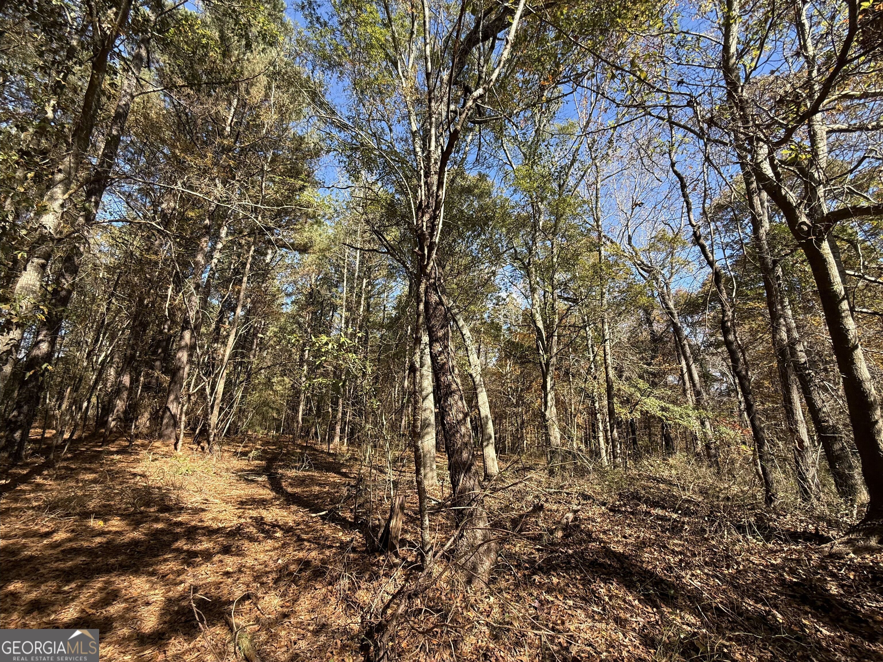 2 Lem Edwards Road Winterville, GA 30628 - Photo 31 of 54