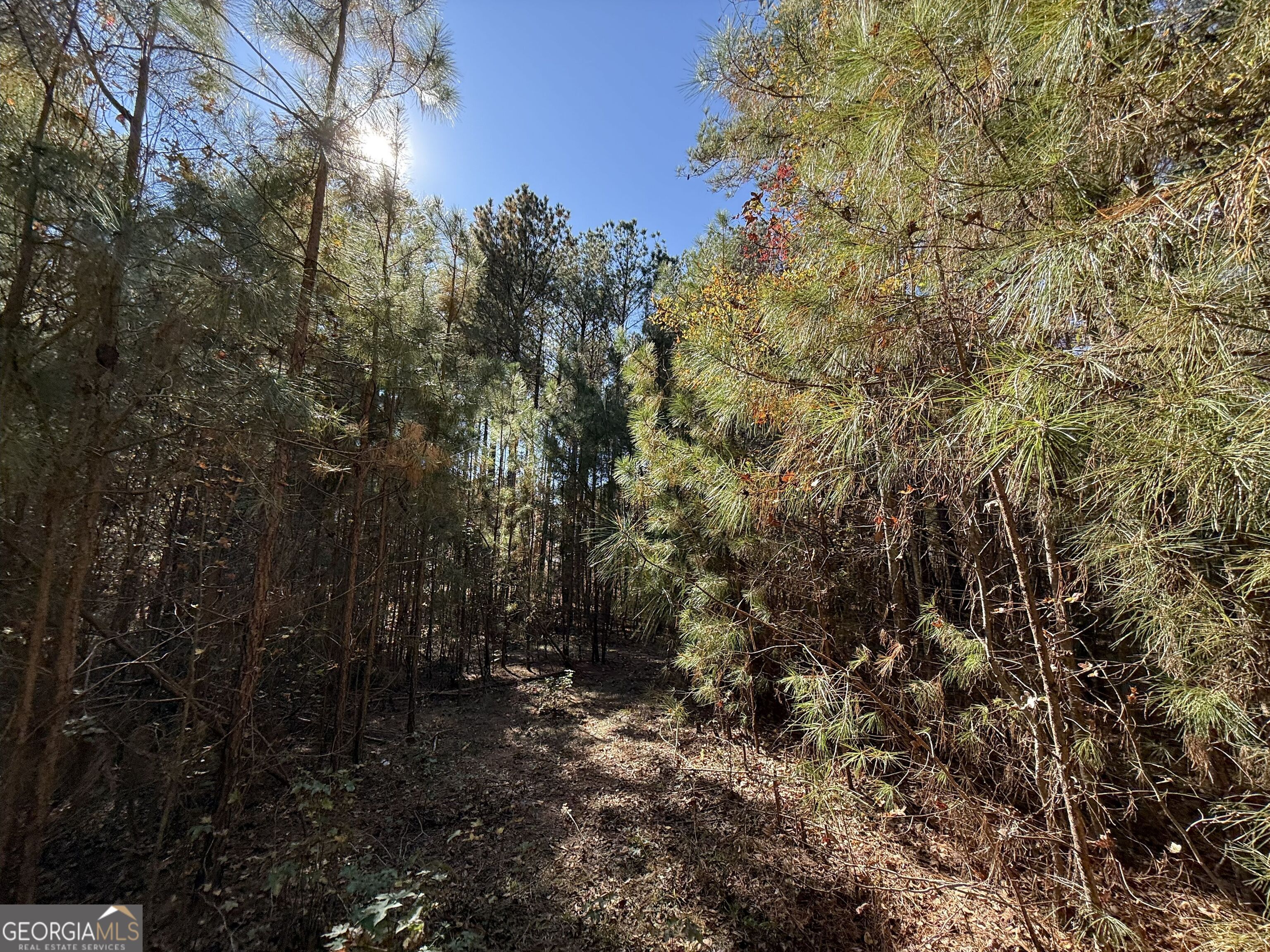 2 Lem Edwards Road Winterville, GA 30628 - Photo 32 of 54