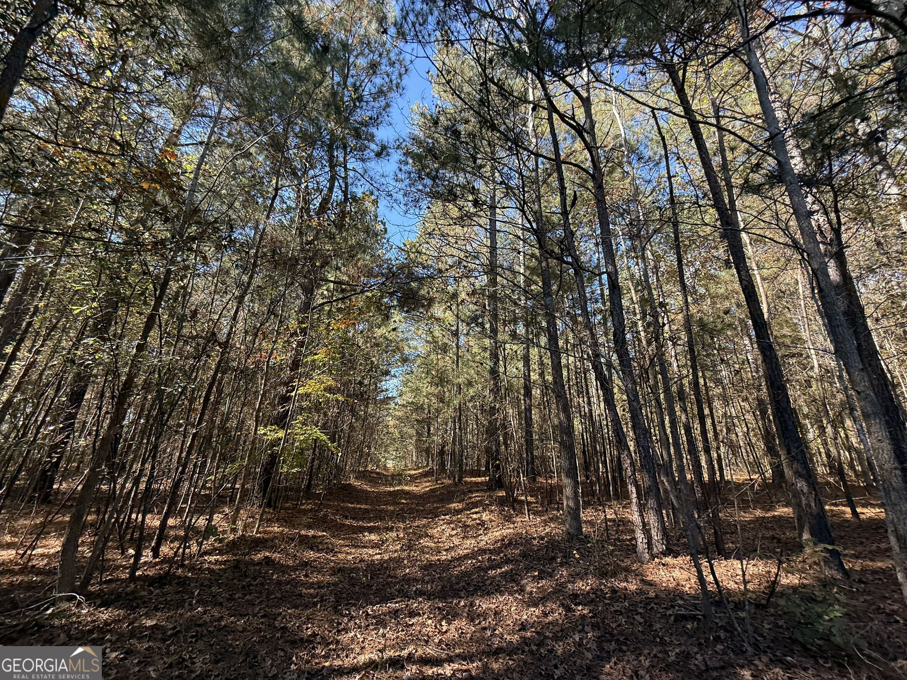 2 Lem Edwards Road Winterville, GA 30628 - Photo 33 of 54