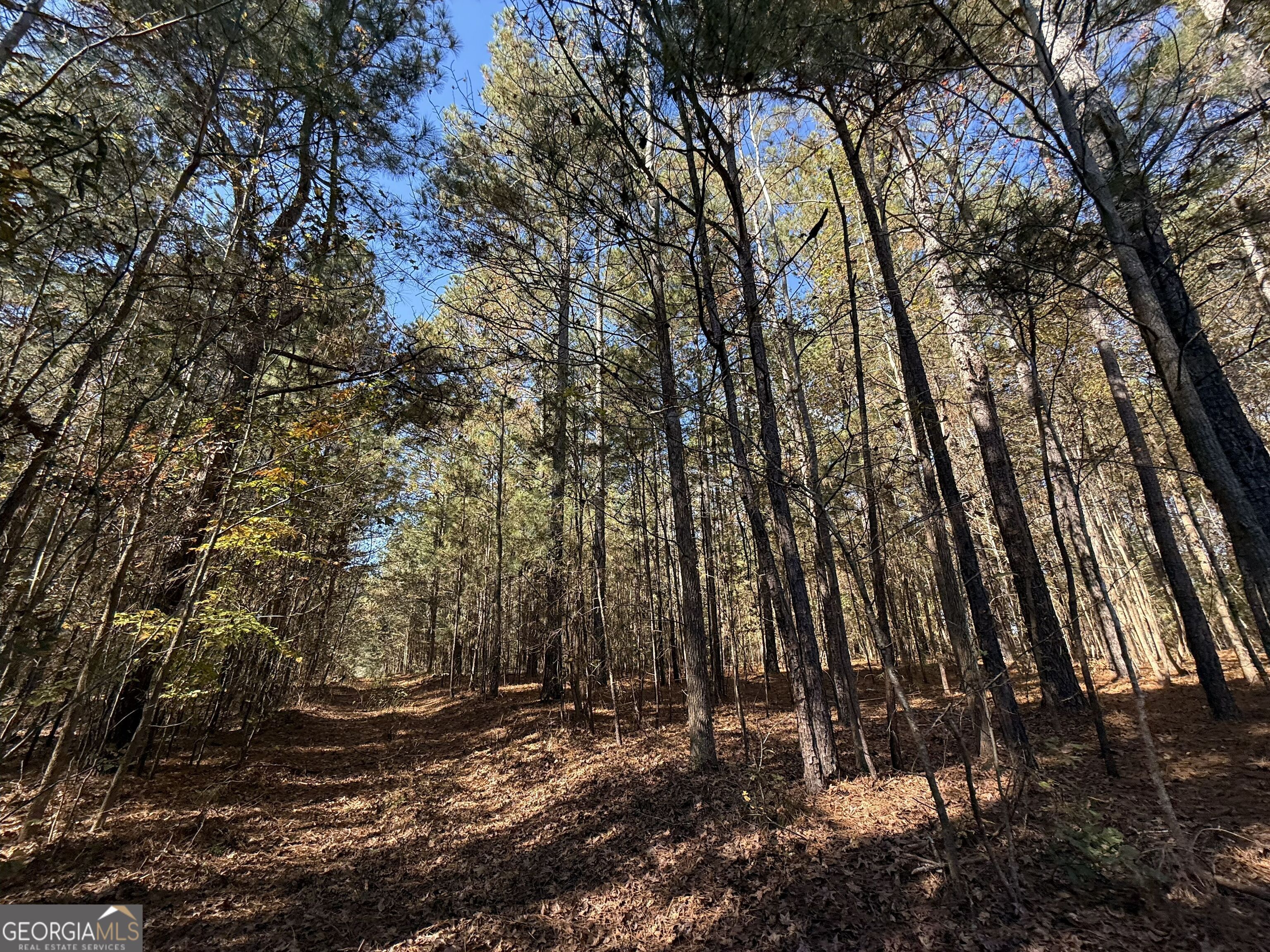 2 Lem Edwards Road Winterville, GA 30628 - Photo 34 of 54