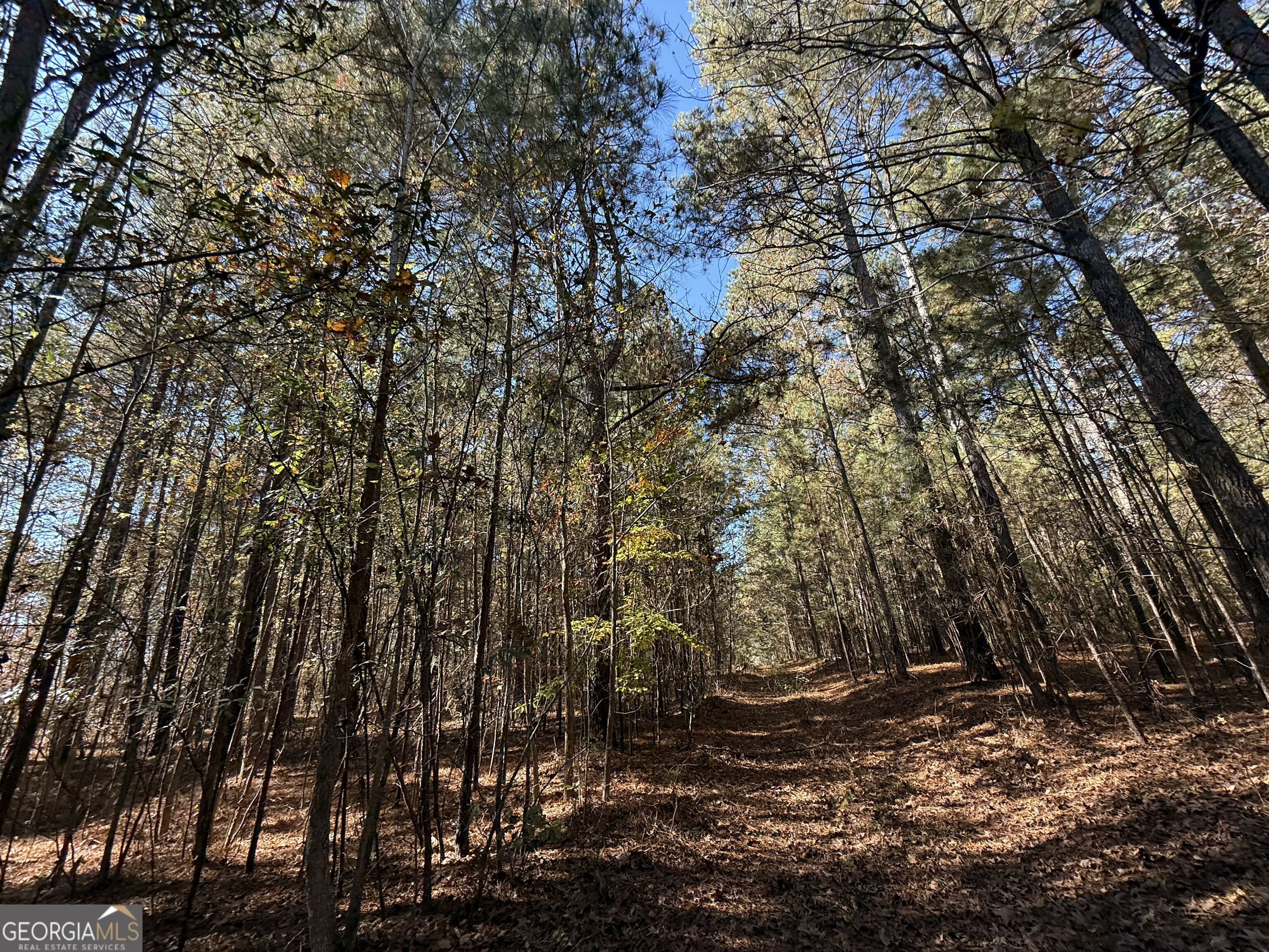 2 Lem Edwards Road Winterville, GA 30628 - Photo 35 of 54